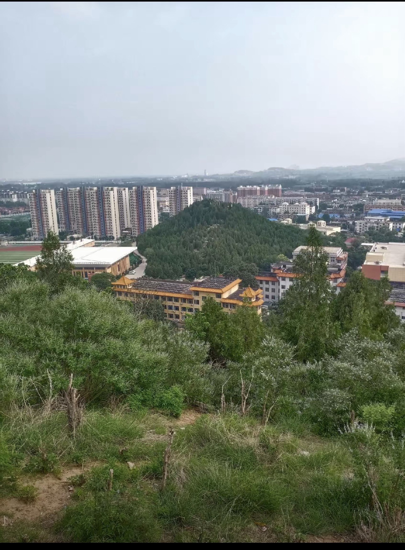 萌山公园旅行图片 3