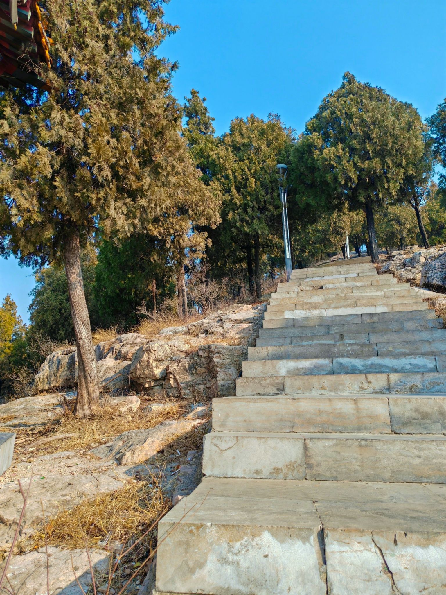 萌山公园旅行图片 3