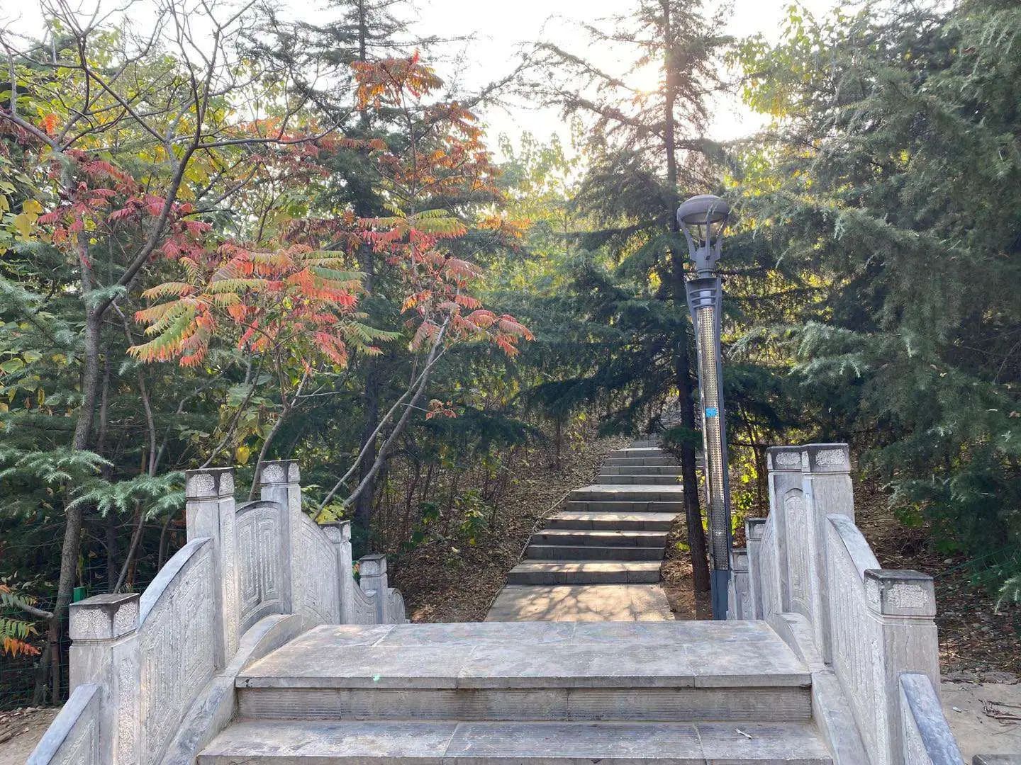 萌山公园旅行图片 2