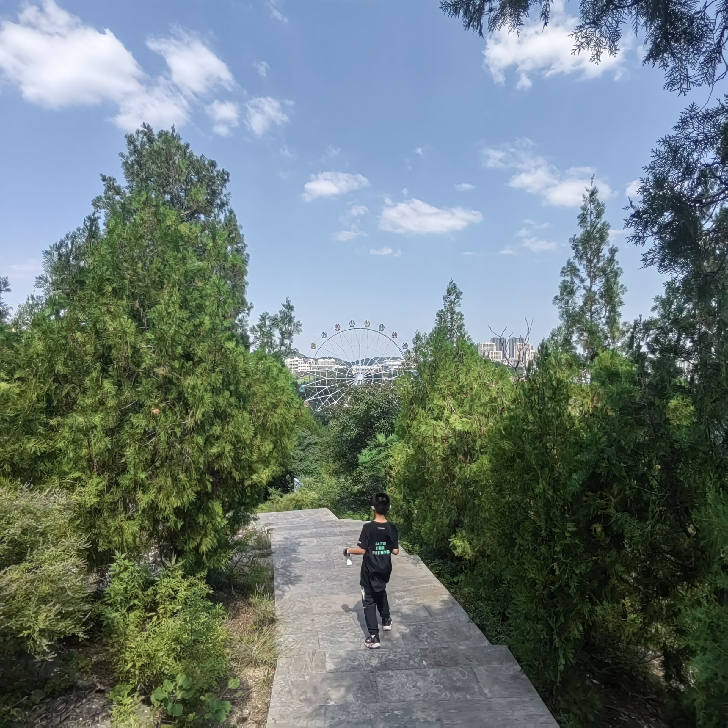 萌山公园旅行图片 3