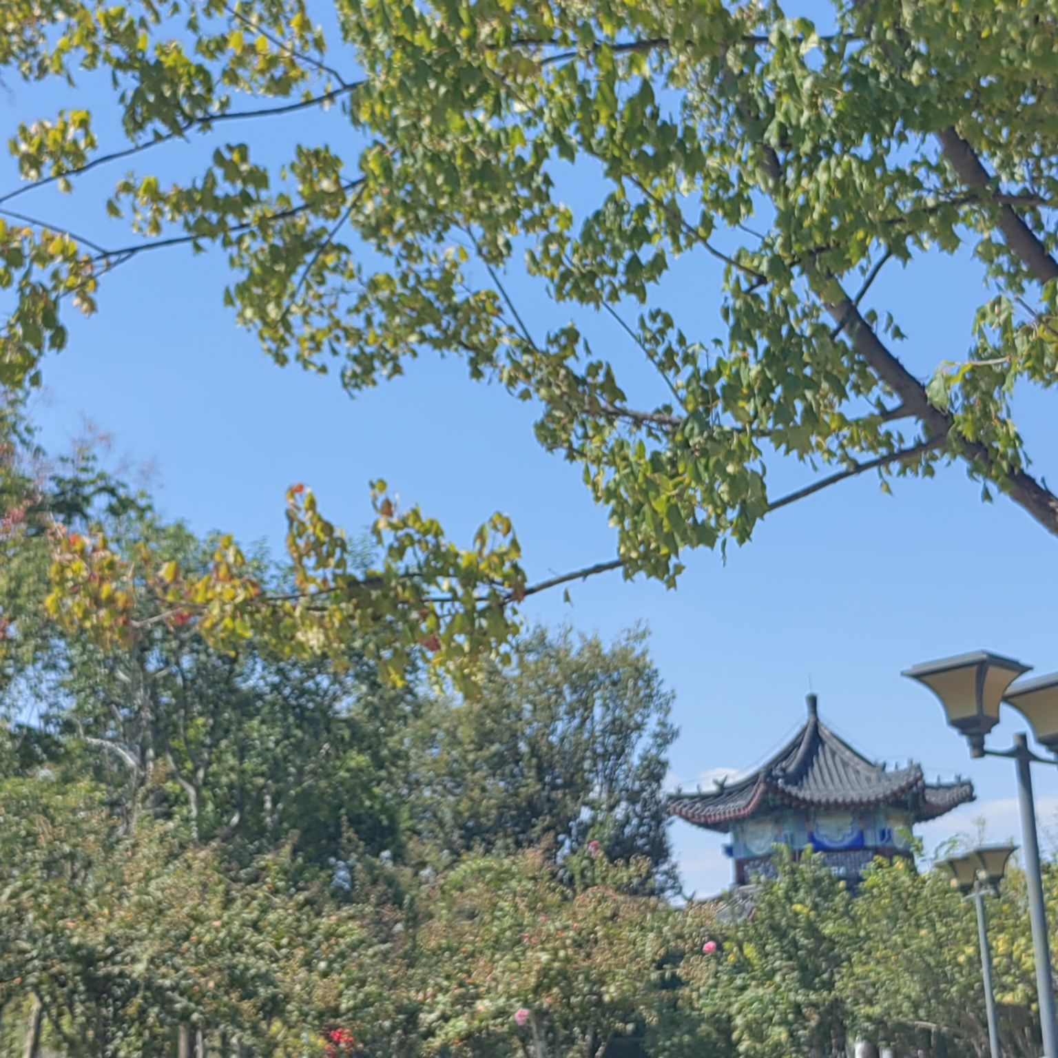 萌山公园旅行图片 2
