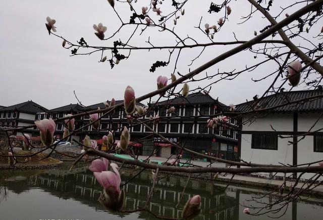 贤官公园旅行图片 2