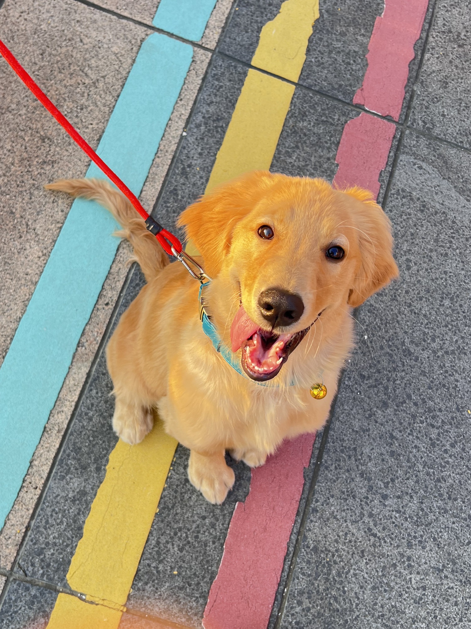 苏州小外滩旅行图片 1
