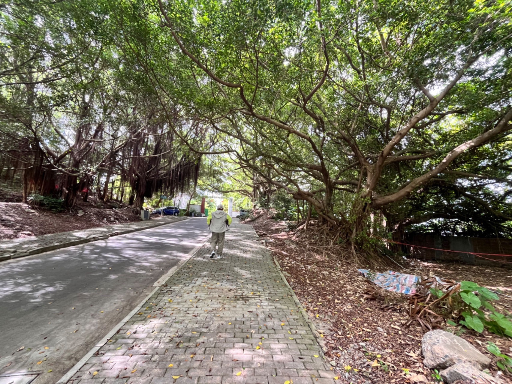 大王宫古炮台景区旅行图片 3