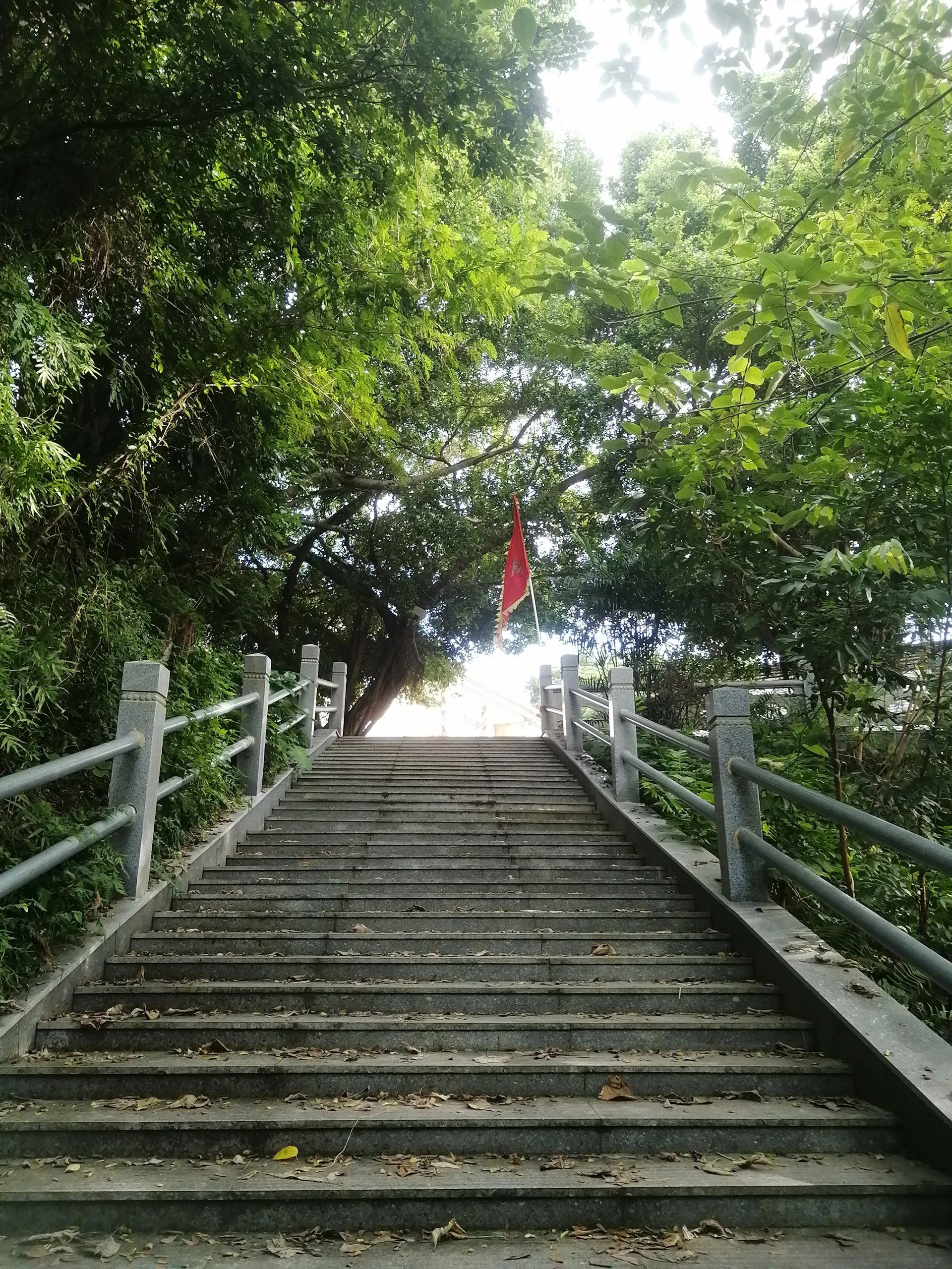 大王宫古炮台景区旅行图片 1