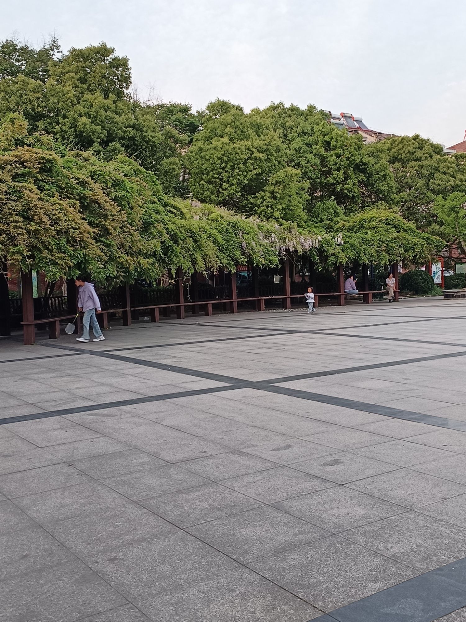金牛广场旅行图片 3