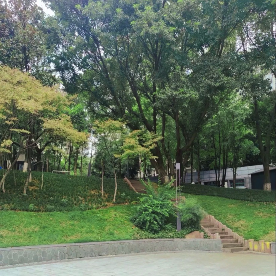 石坪社区公园旅行图片 1