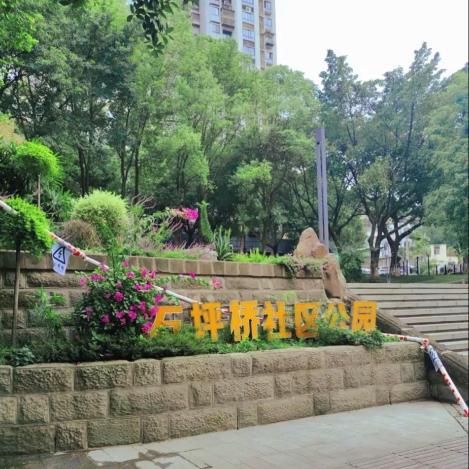 石坪社区公园旅行图片 3