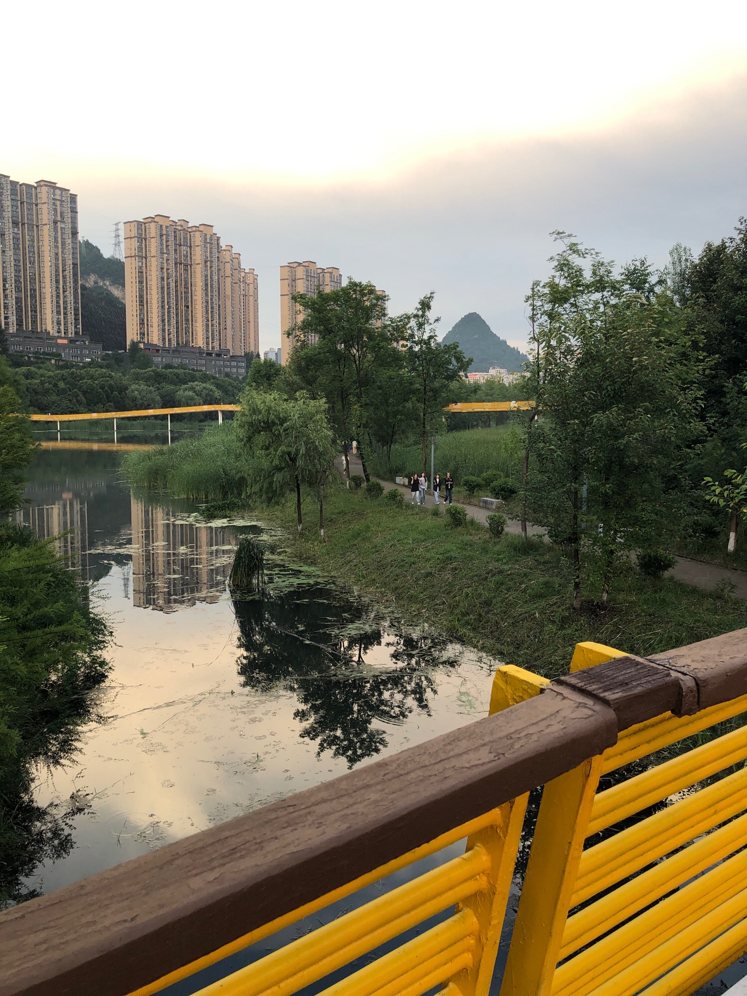 明湖国家湿地公园旅行图片 2