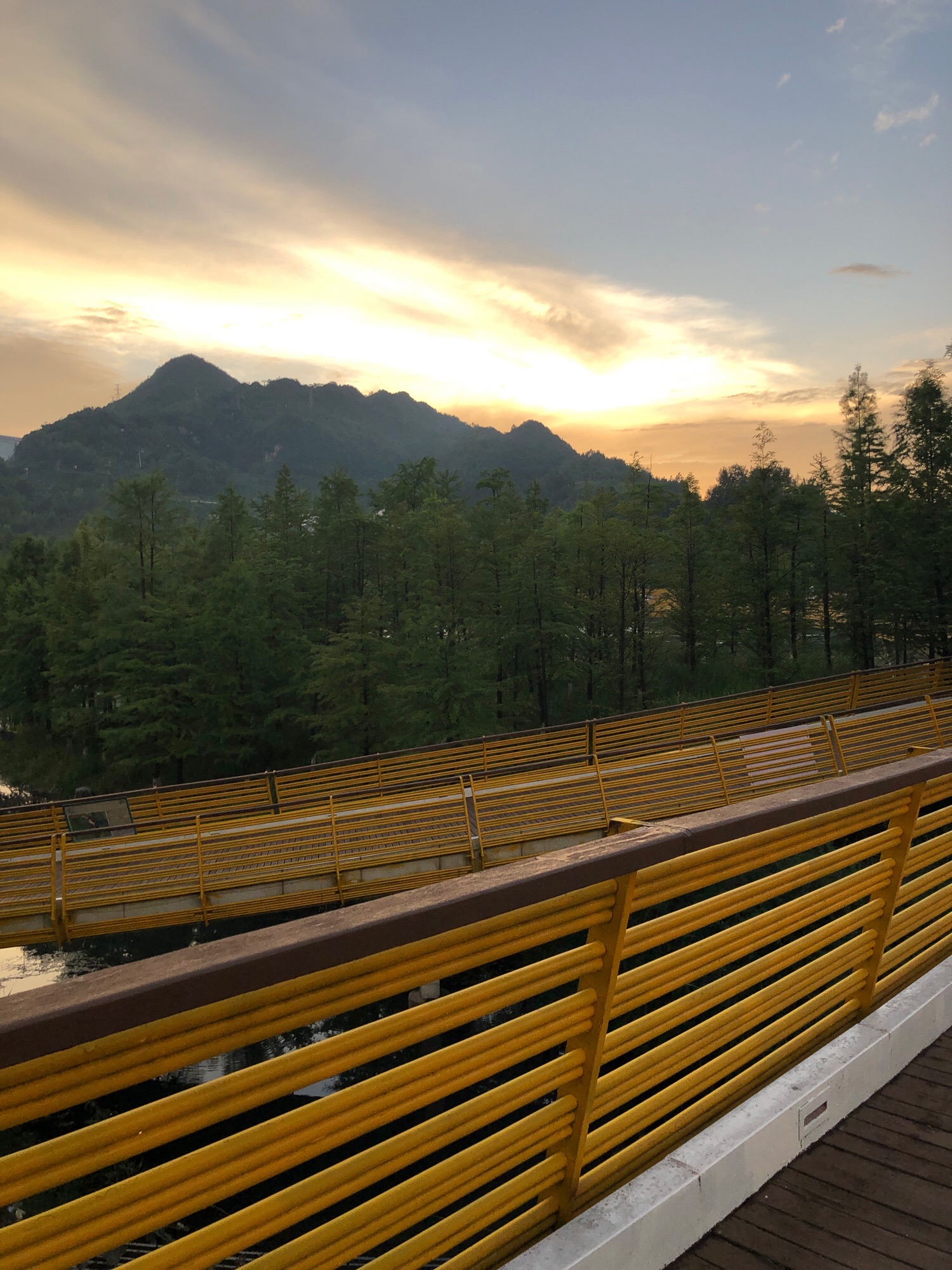 明湖国家湿地公园旅行图片 3