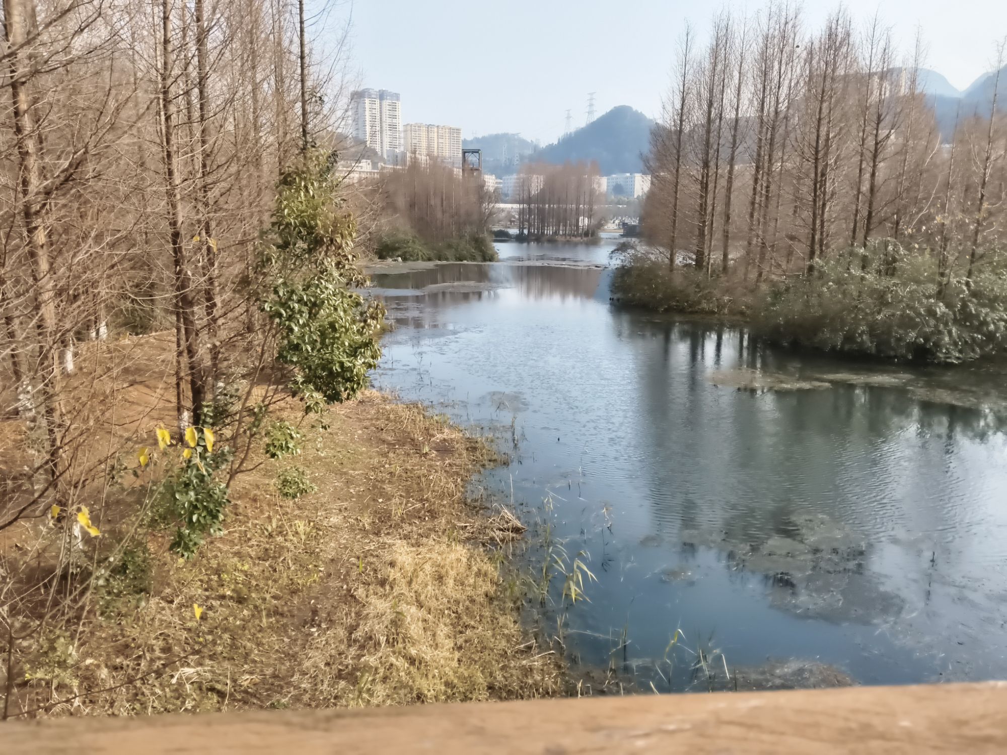 明湖国家湿地公园旅行图片 1