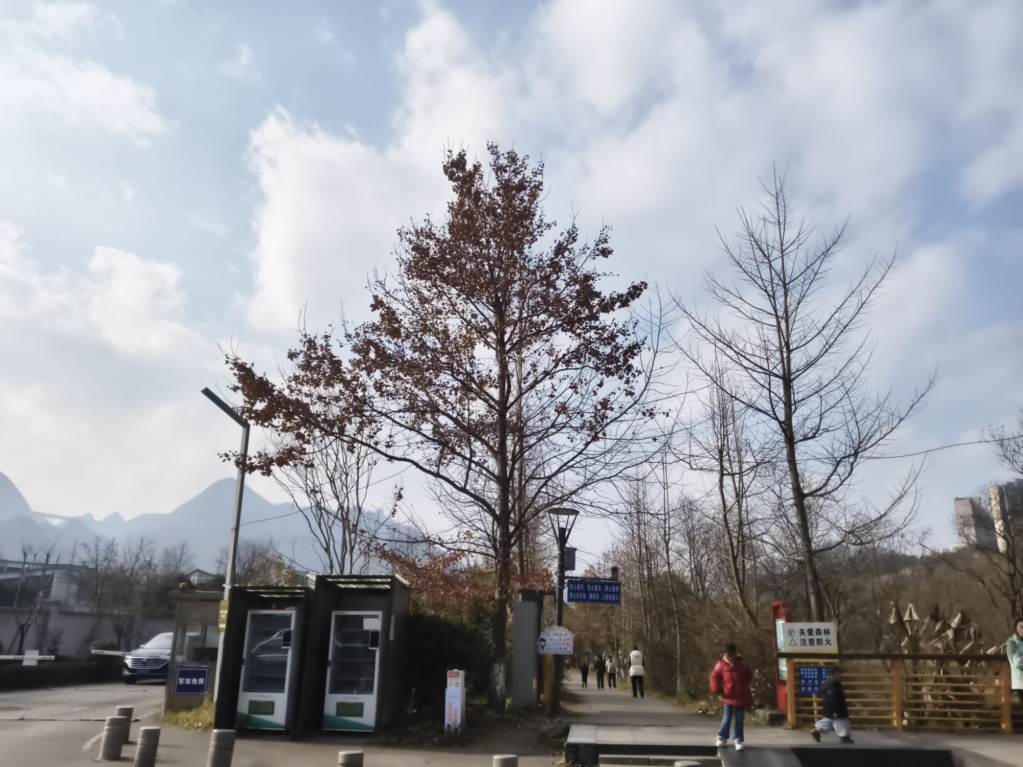 明湖国家湿地公园旅行图片 3