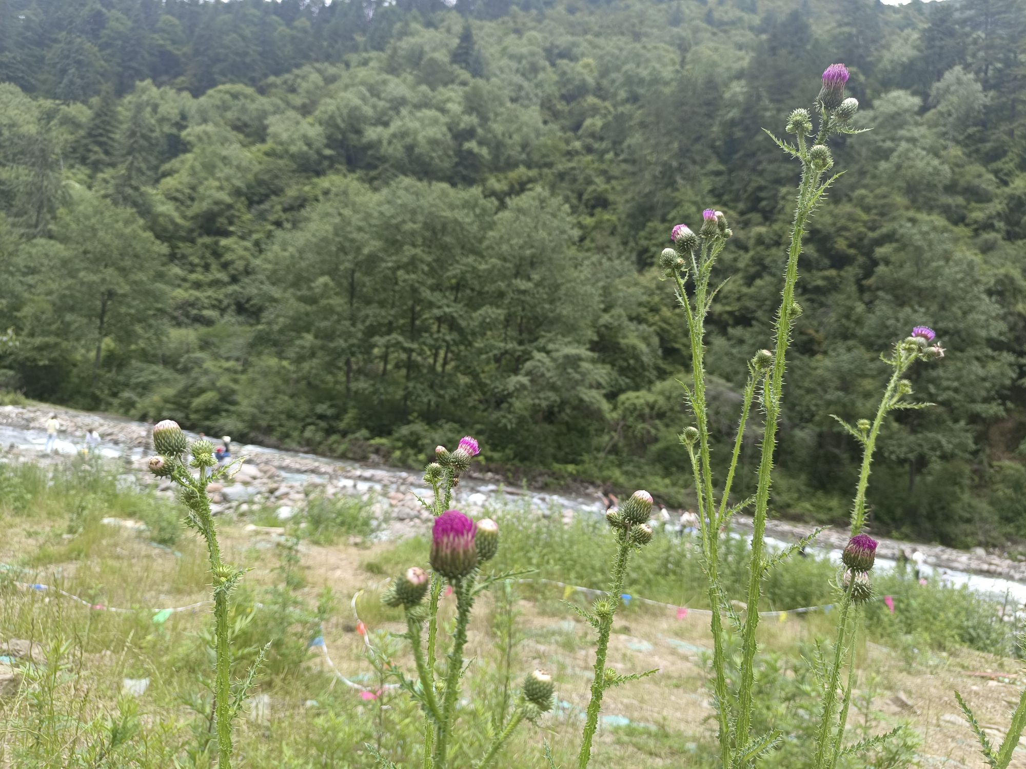 云顶山公园旅行图片 3
