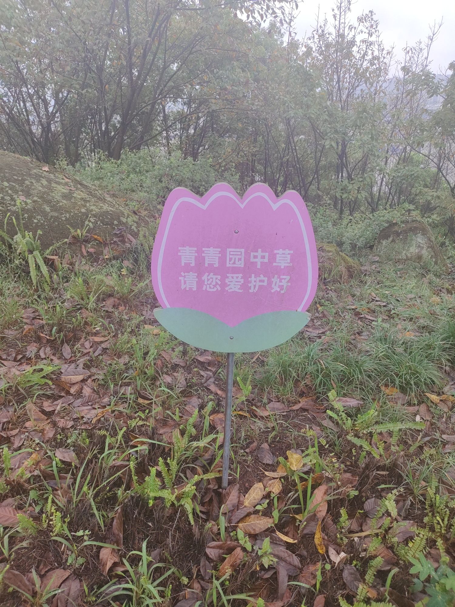 云顶山公园旅行图片 1