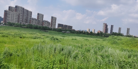玉露潭公园