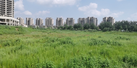 玉露潭公园