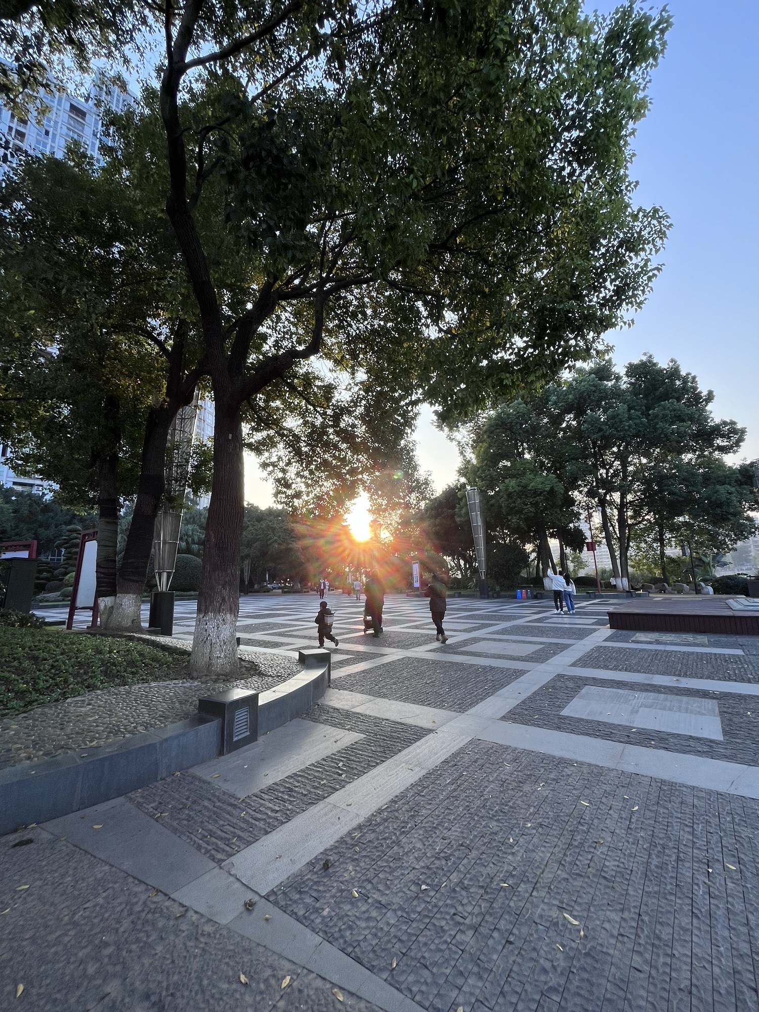 滨江公园旅行图片 1