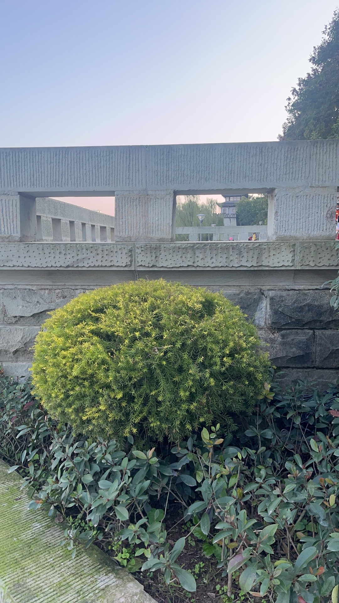 滨江公园旅行图片 3
