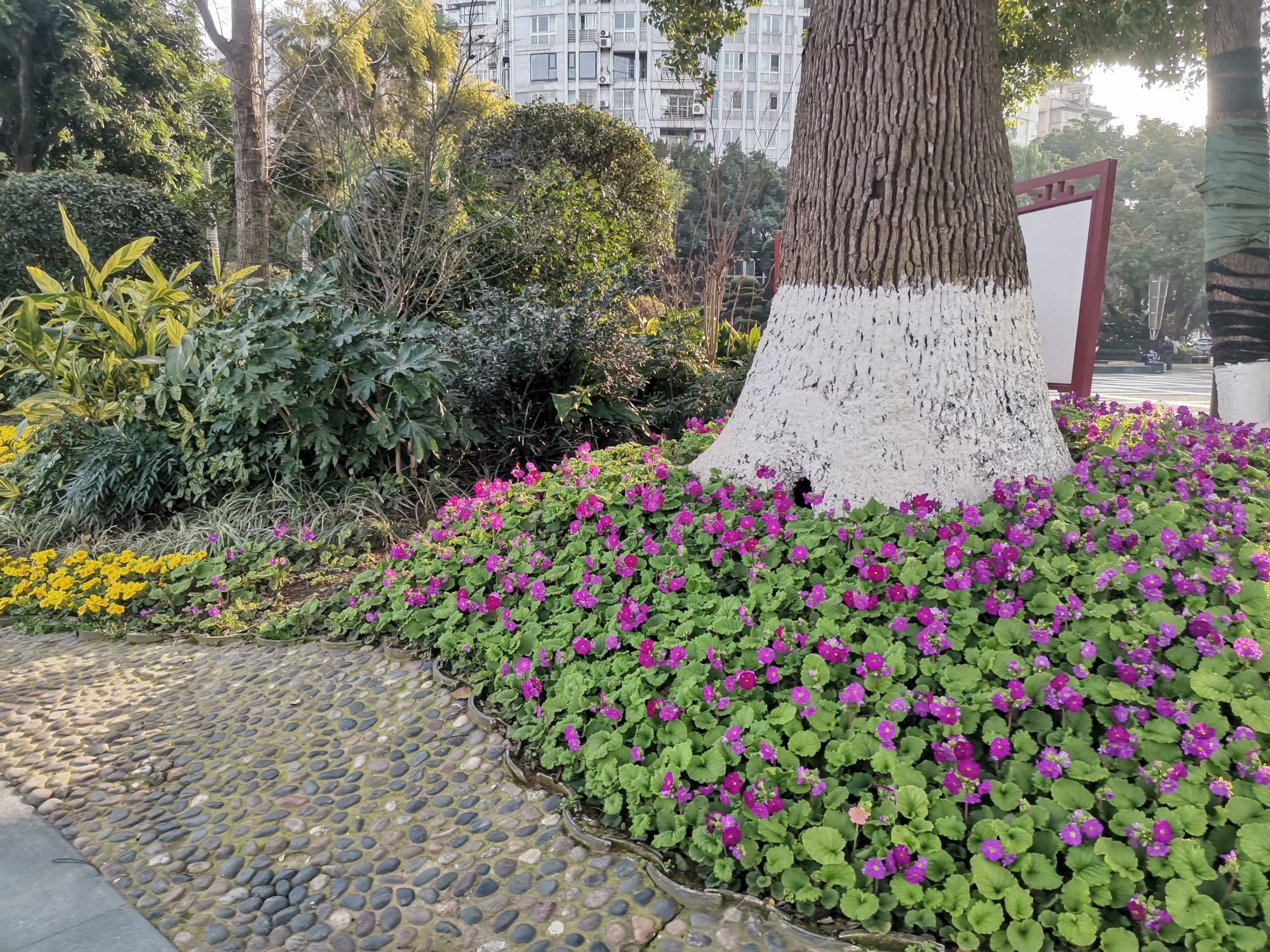 滨江公园旅行图片 2