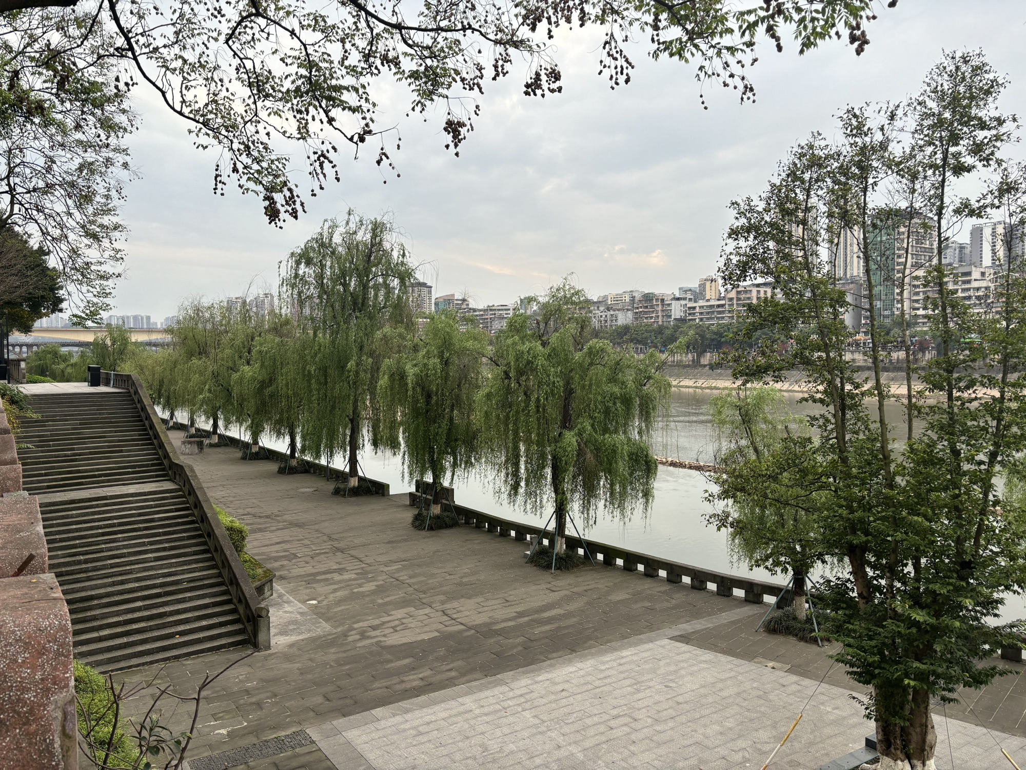 滨江公园旅行图片 2