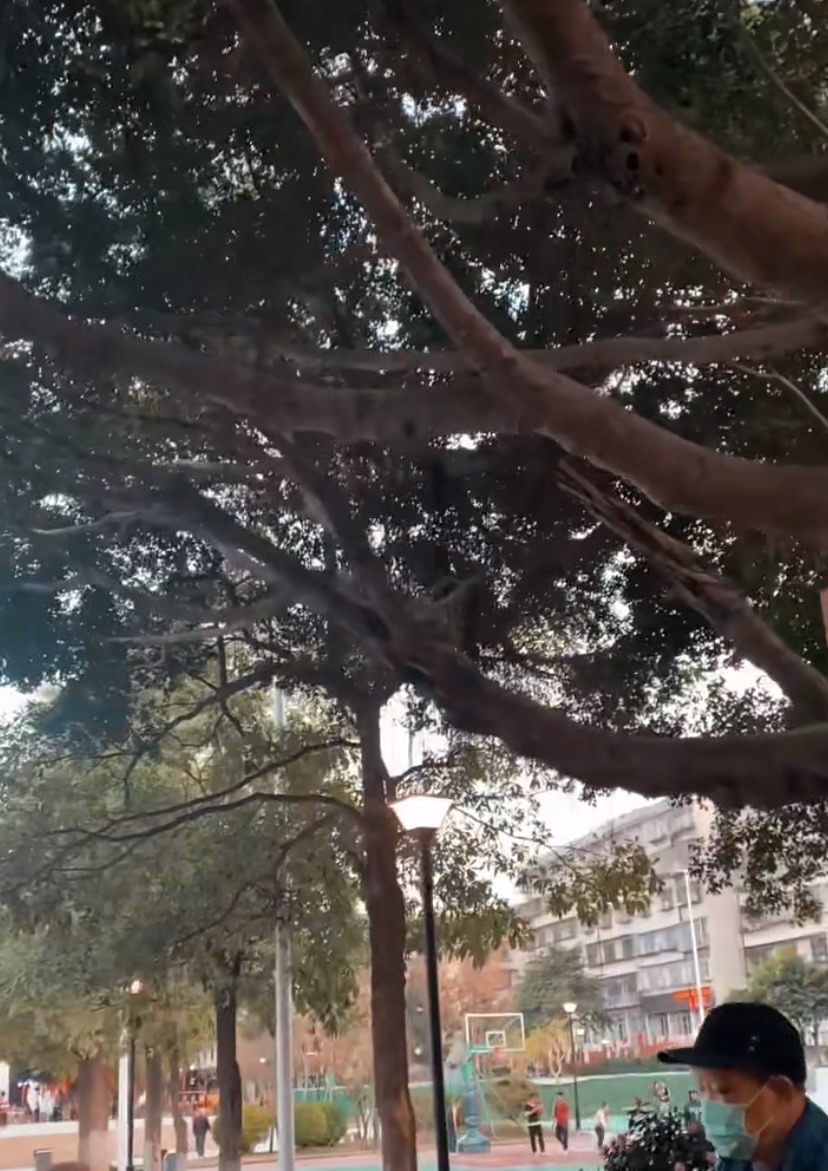 福清市体育公园旅行图片 1