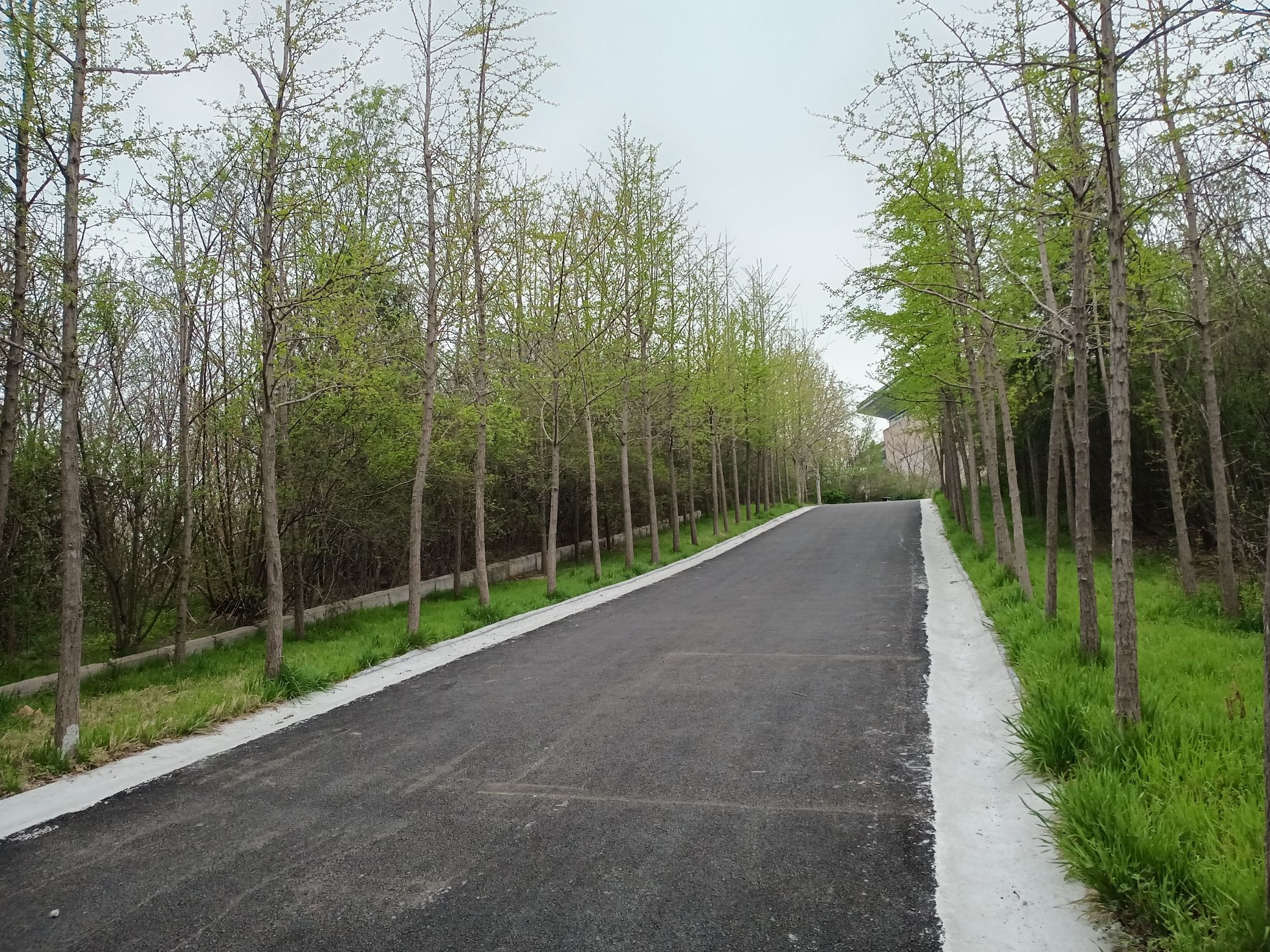 香山公园旅行图片 2