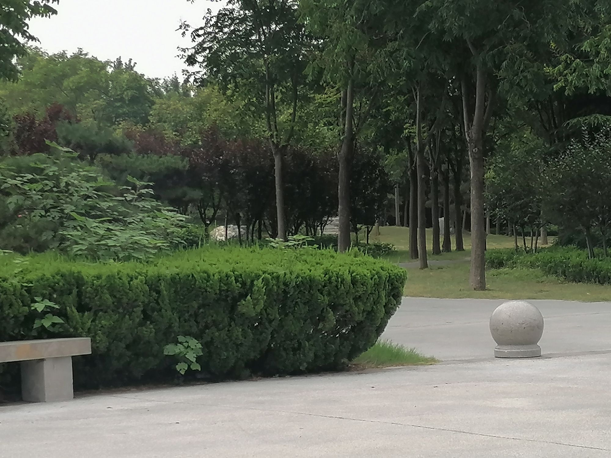 香山公园旅行图片 3