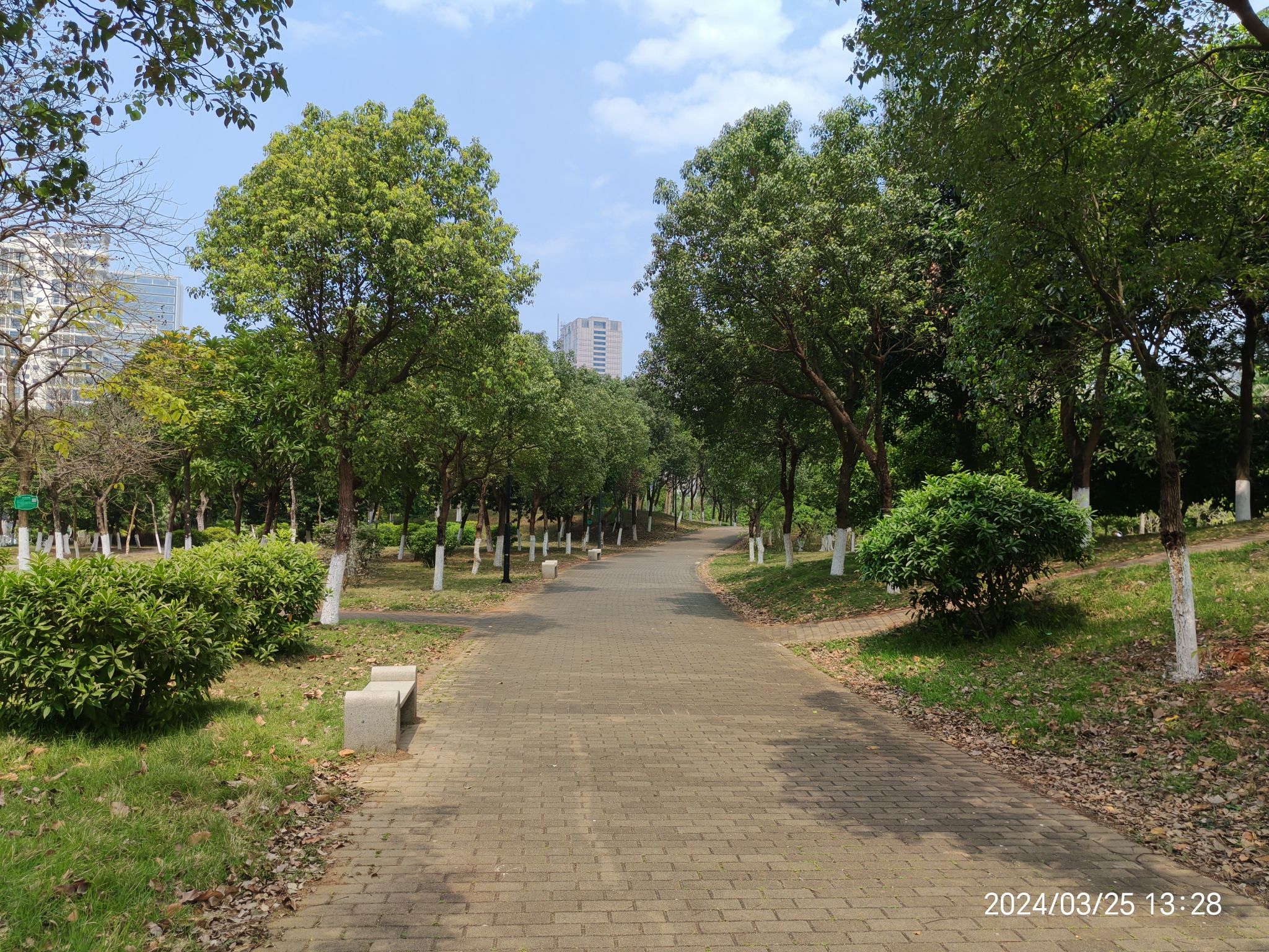 海口西海岸挺秀公园旅行图片 1