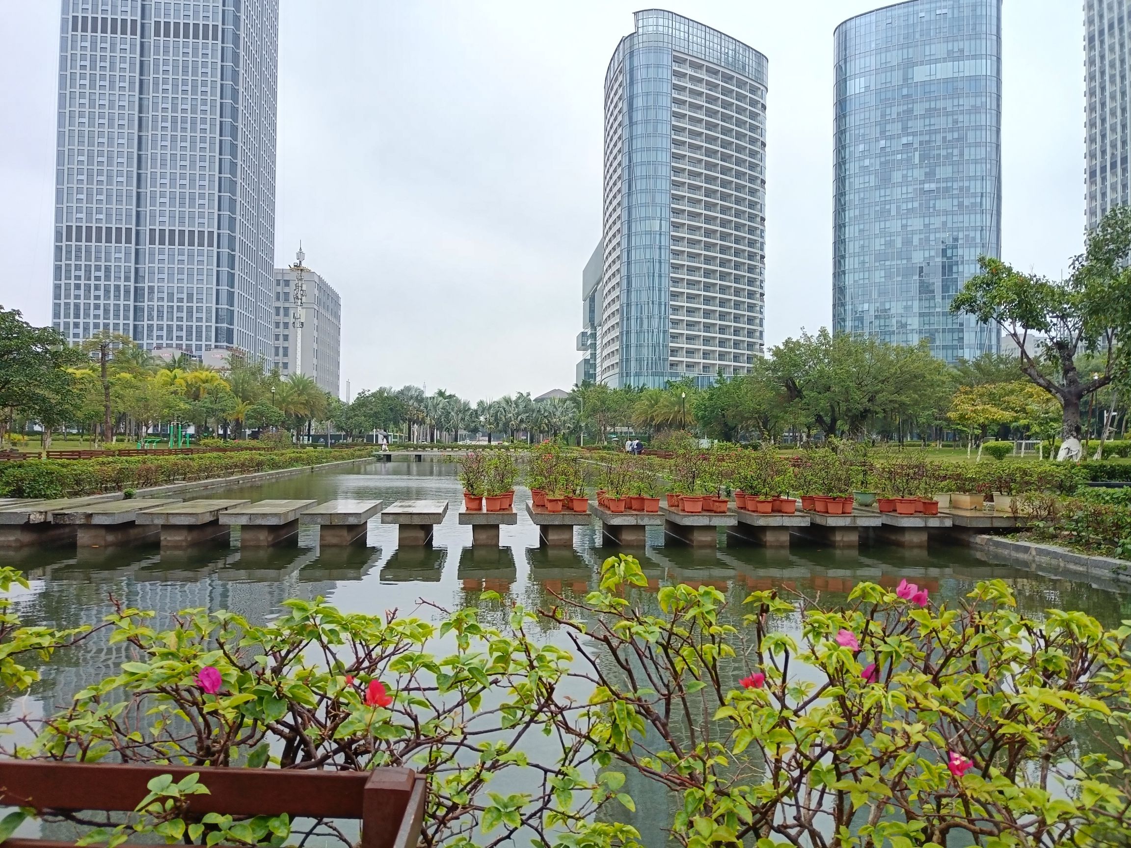 海口西海岸挺秀公园旅行图片 1