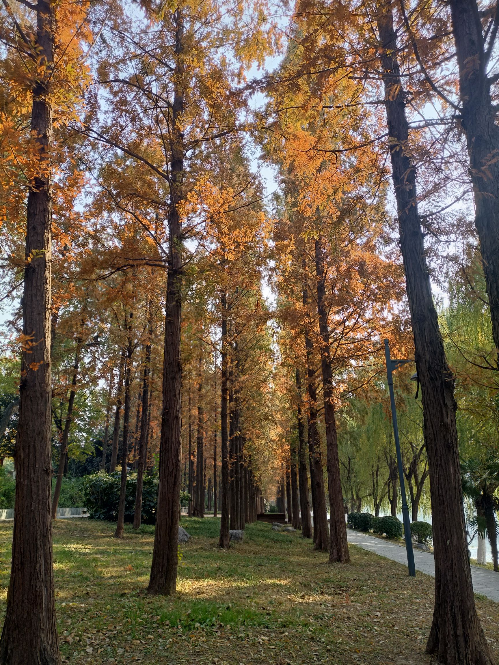 法制公园旅行图片 3