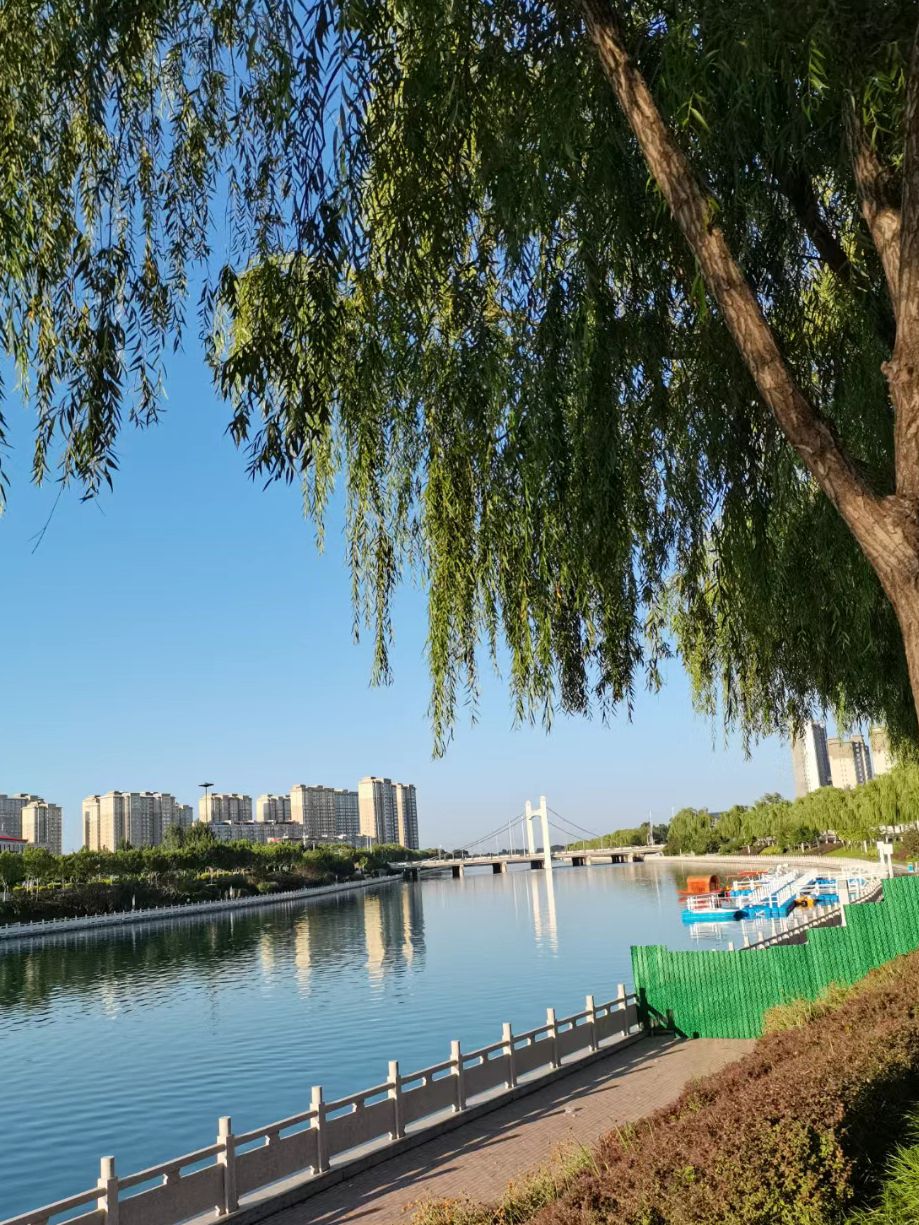 龙州公园旅行图片 1