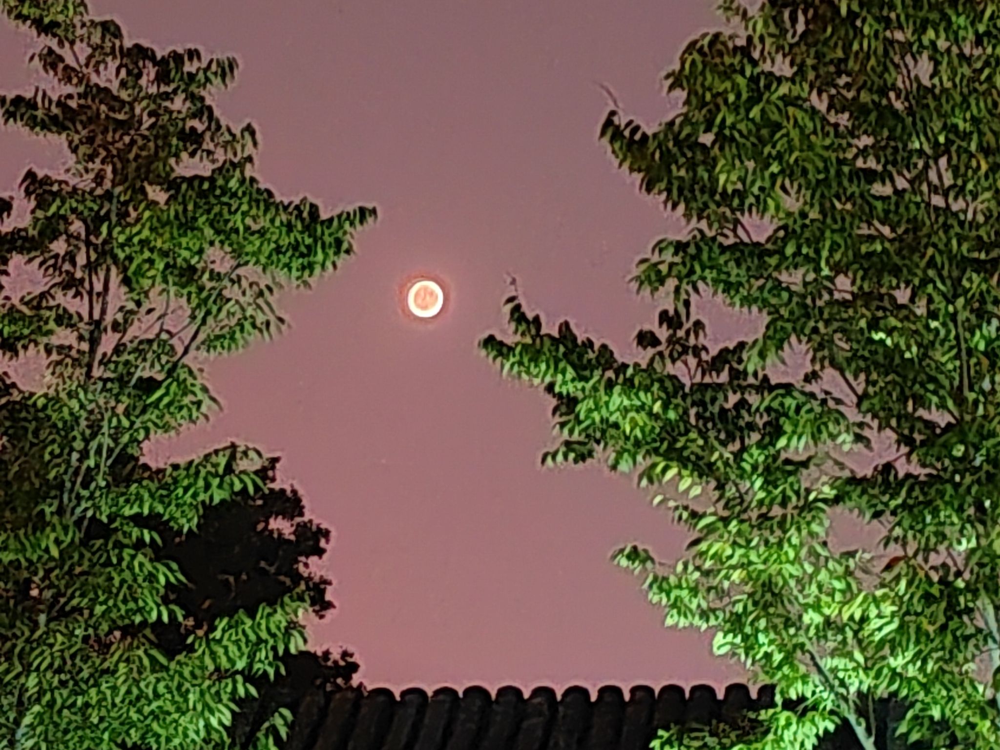 天水公园旅行图片 3
