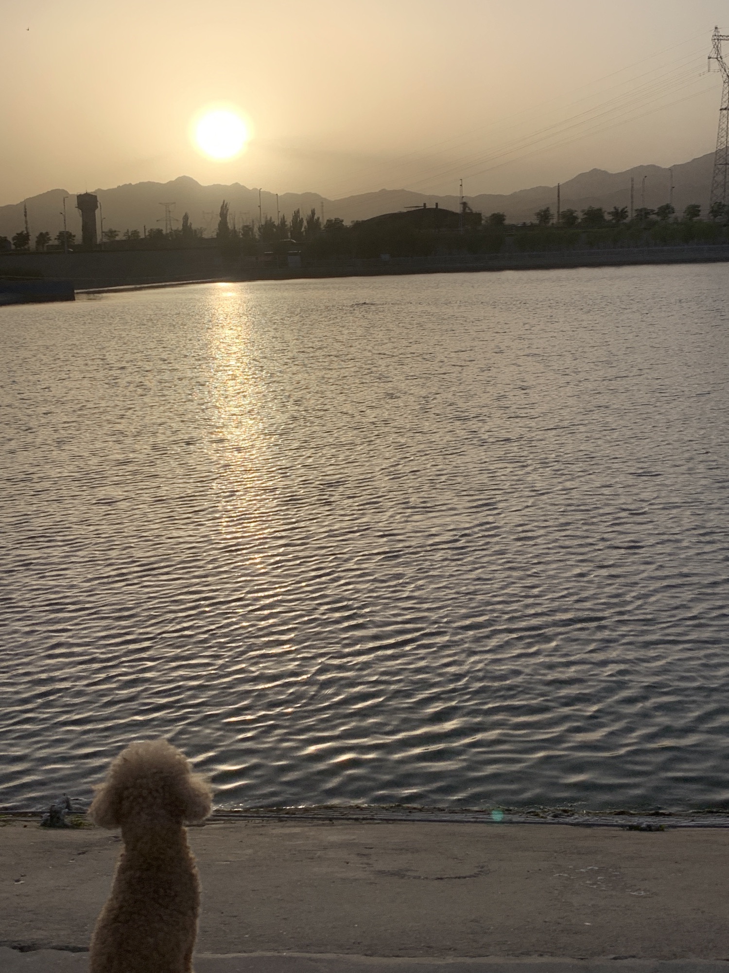 昆河景观公园旅行图片 1
