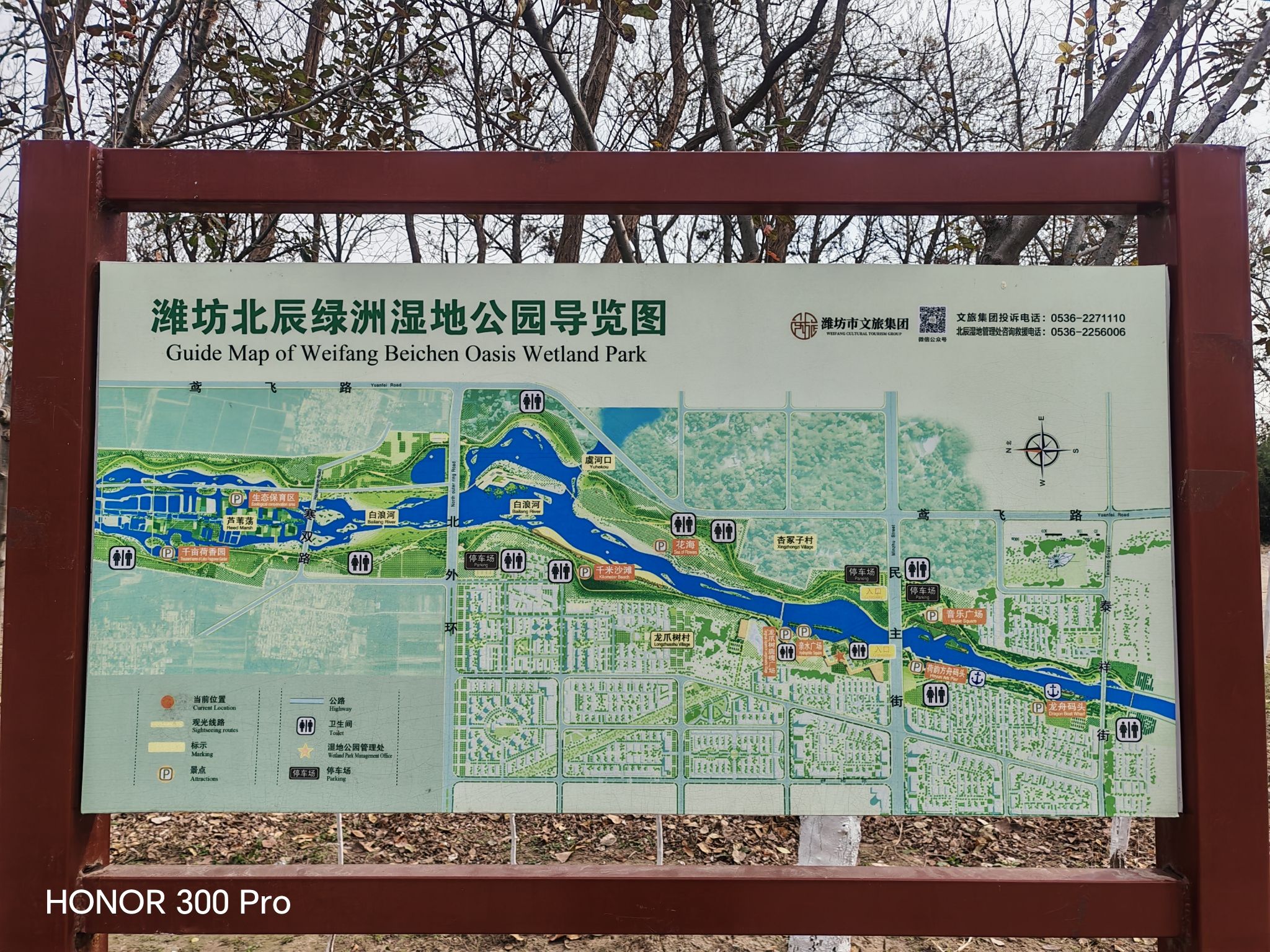 北辰绿洲湿地公园景点图片