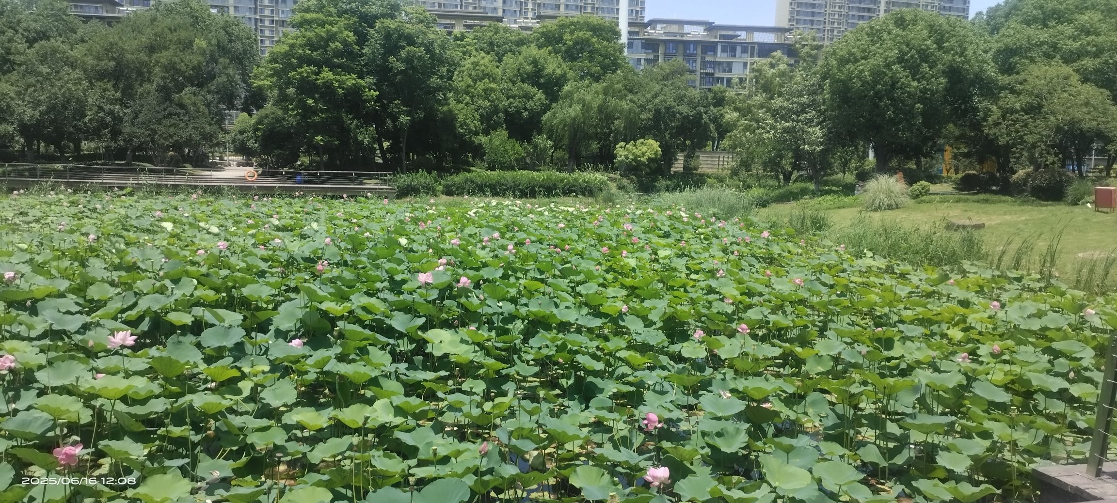 香缇公园