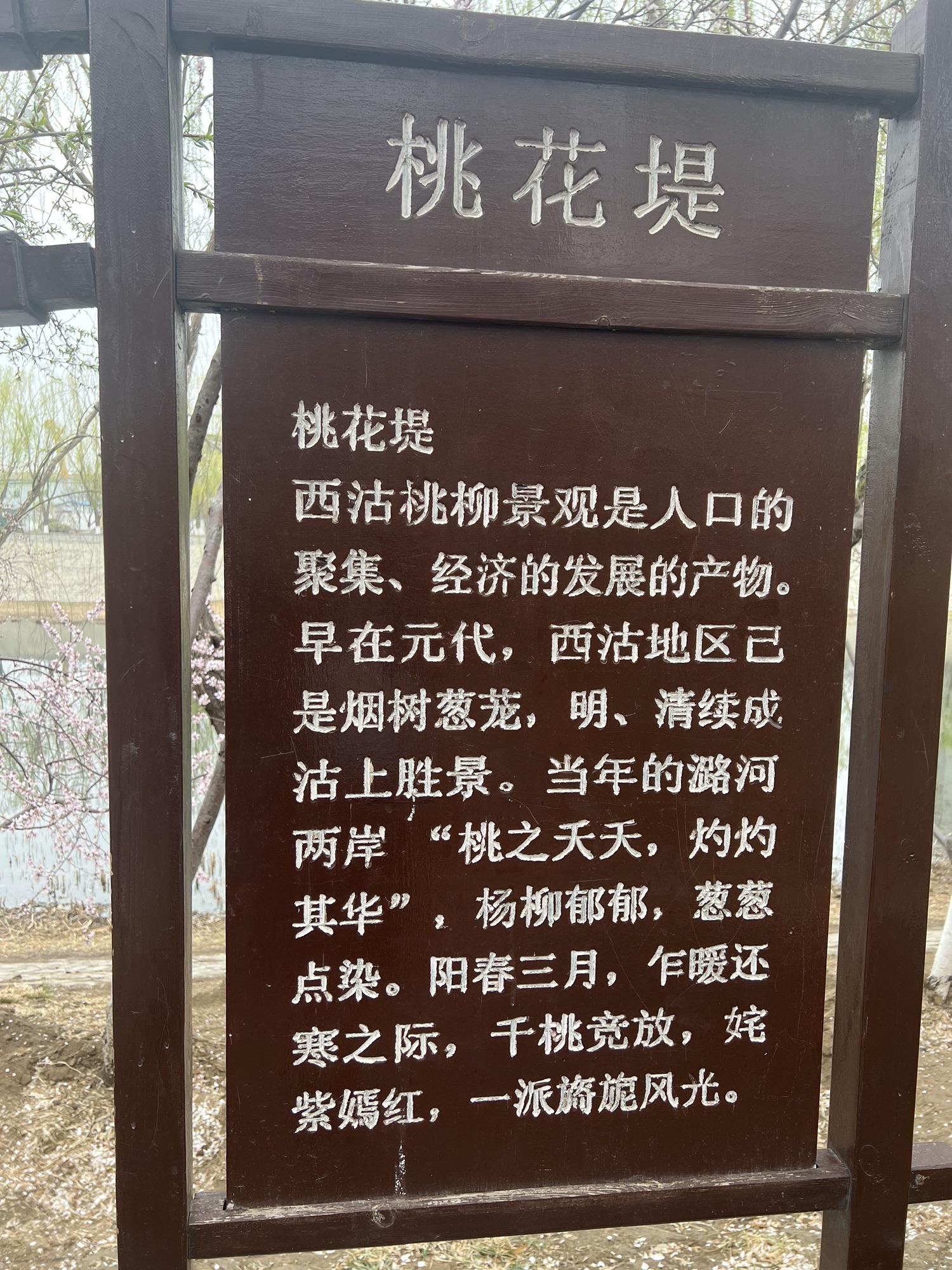 桃花园旅行图片 1