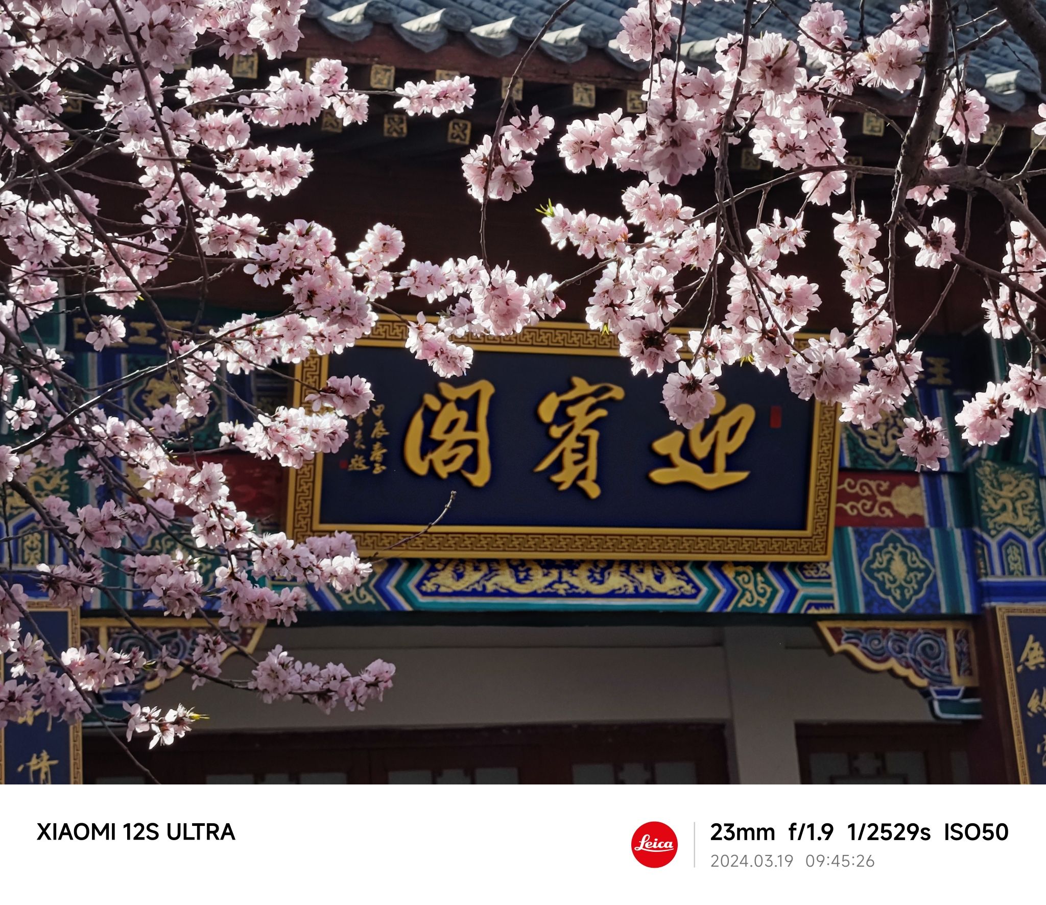 桃花园旅行图片 2
