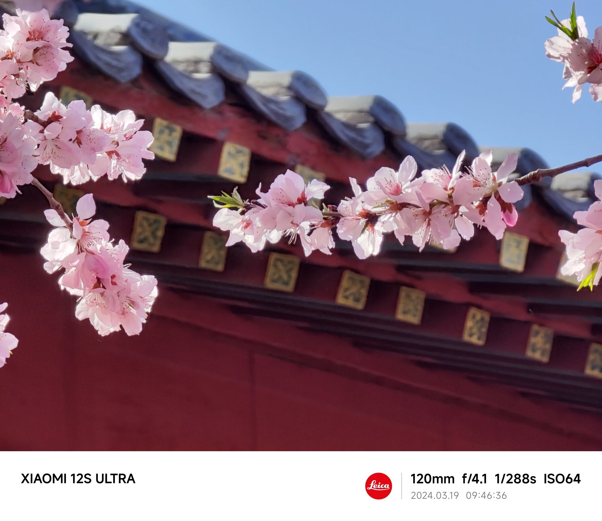 桃花园旅行图片 3
