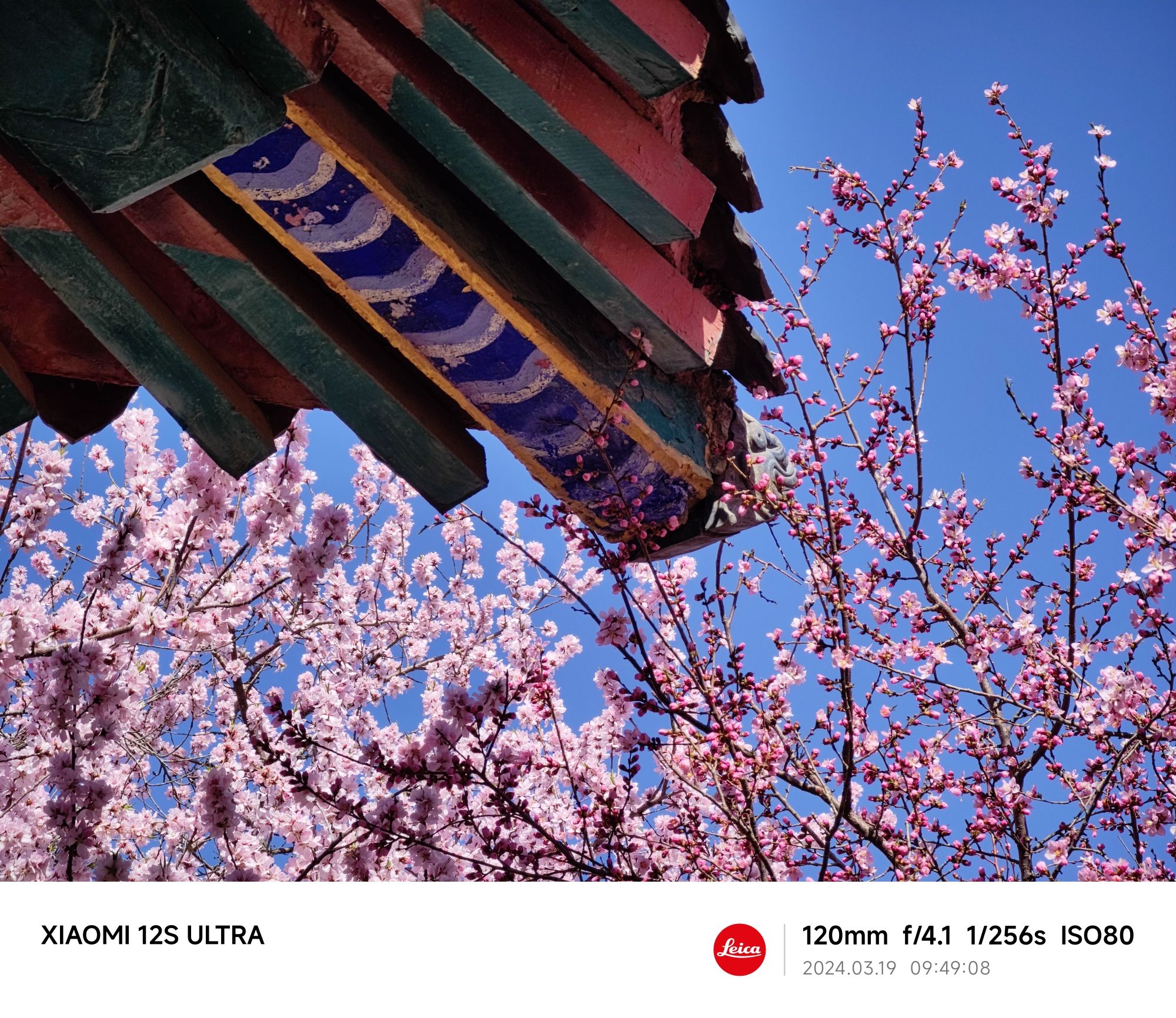 桃花园旅行图片 1