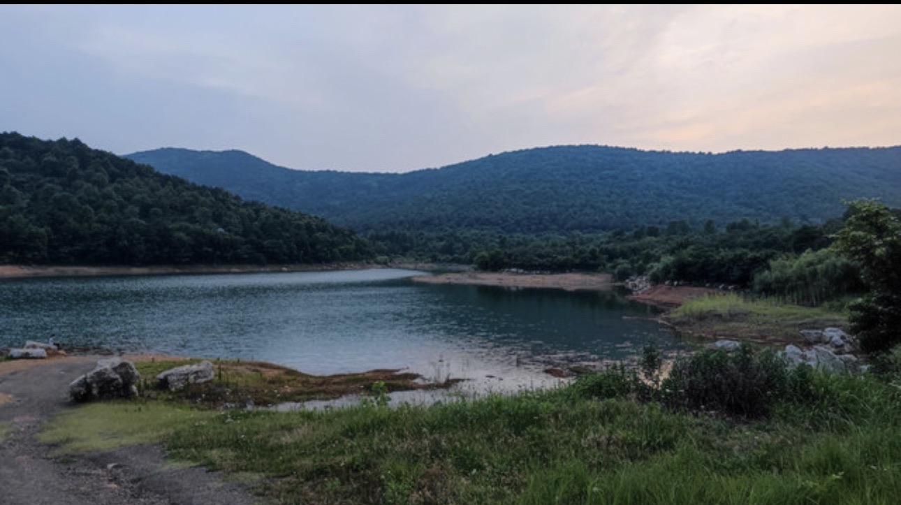 夹山蕻森林公园旅行图片 1