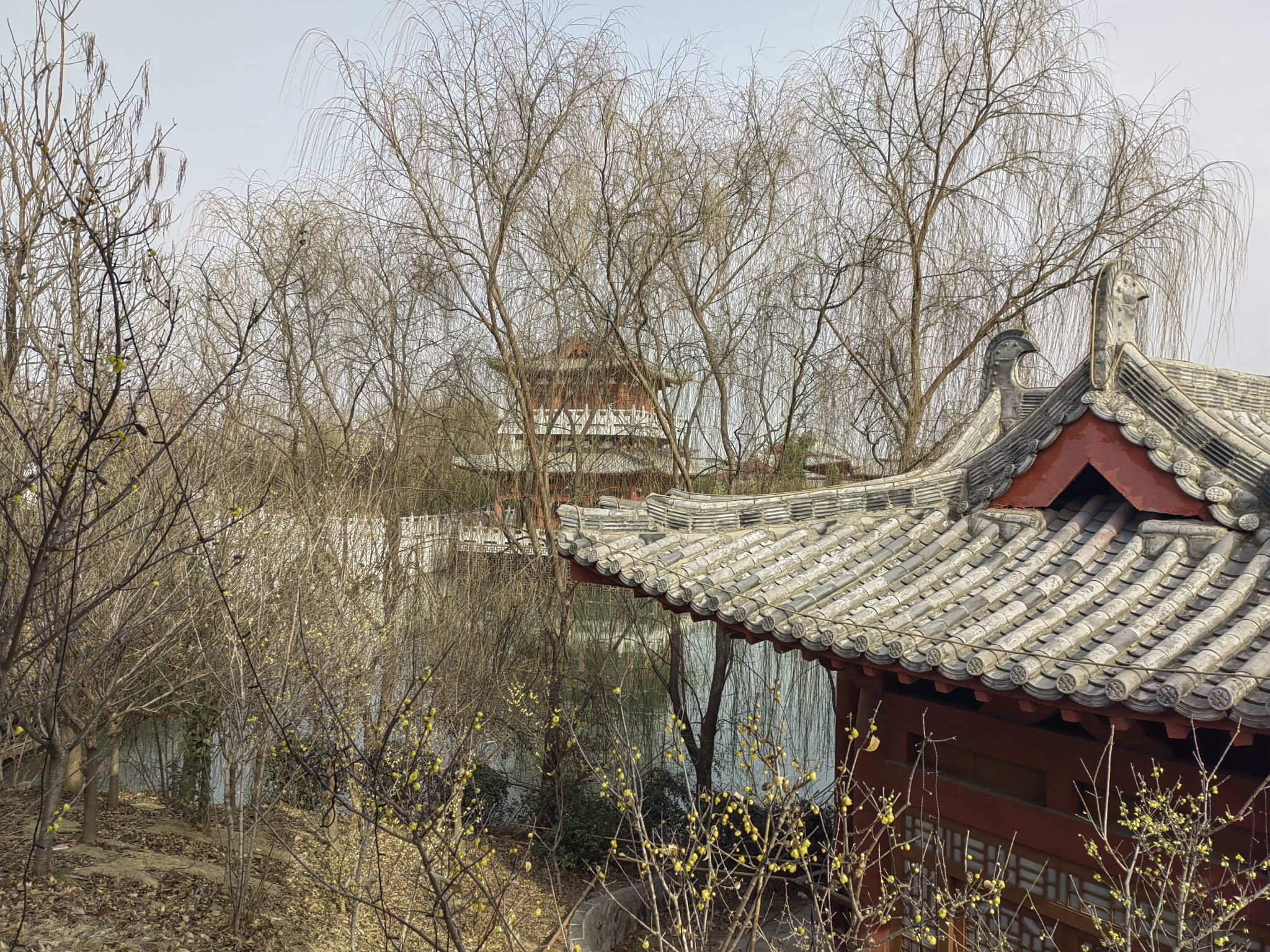 白居易文化园旅行图片 2