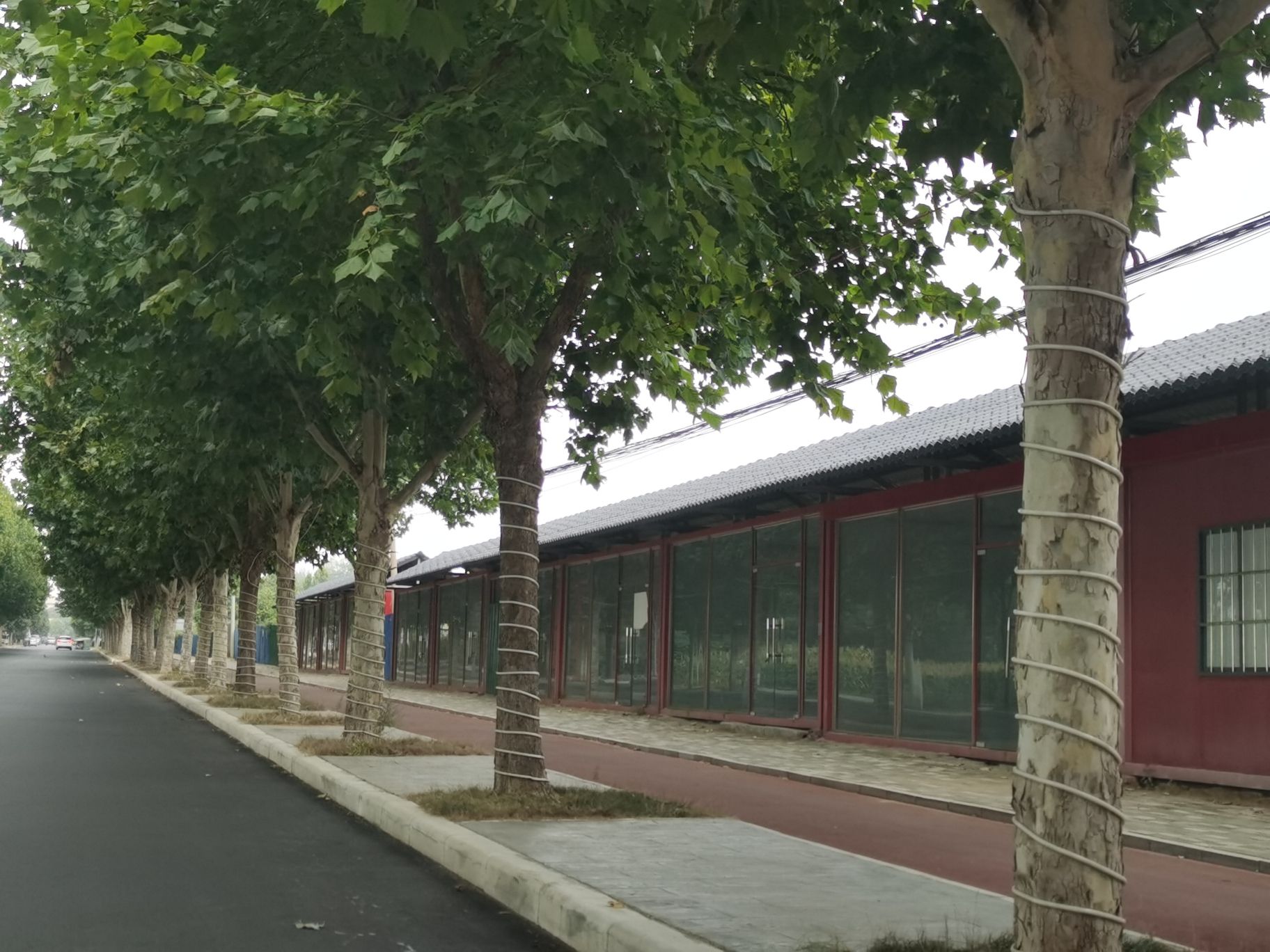 白居易文化园旅行图片 3