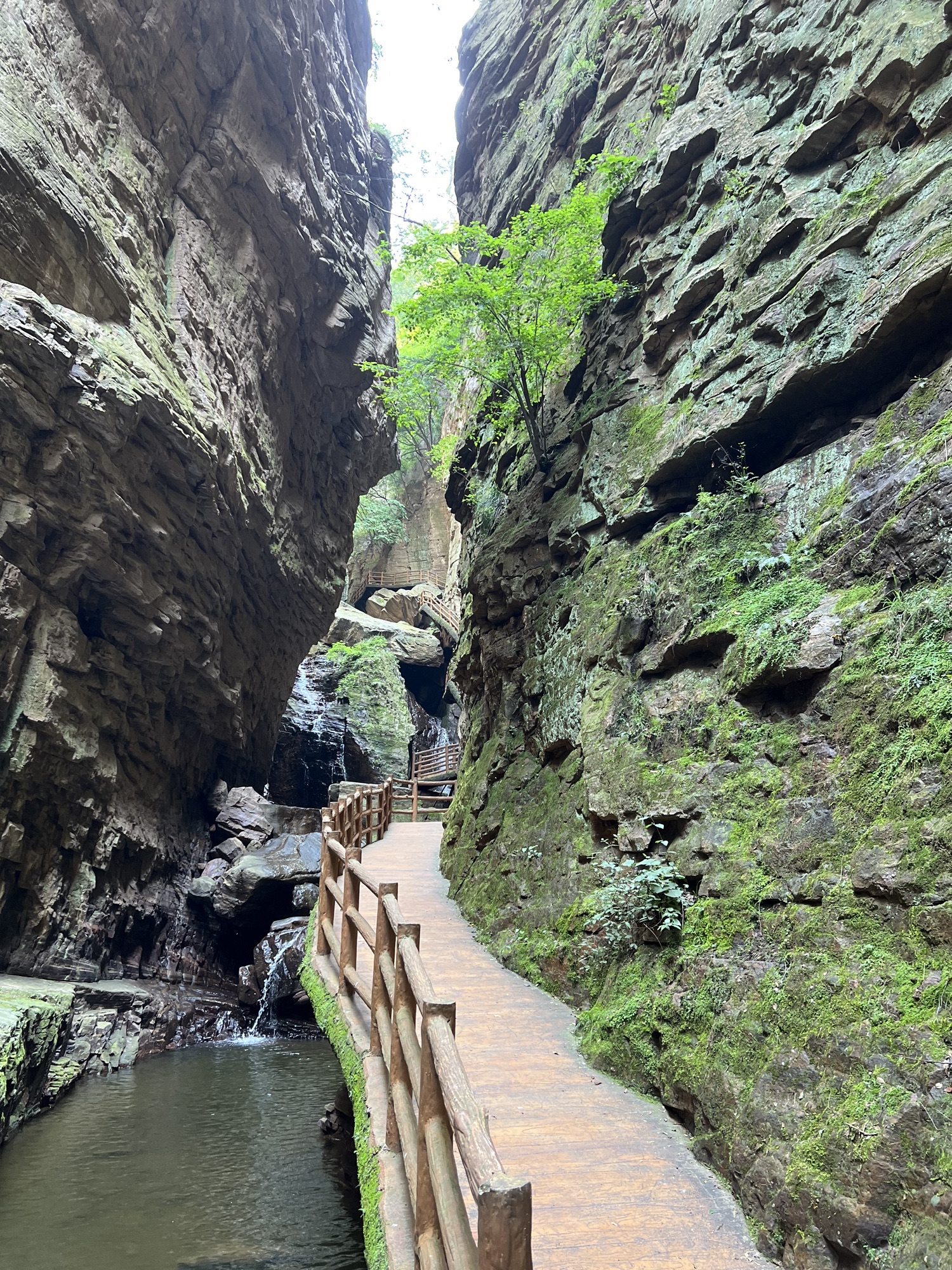 韶山峡旅行图片 1