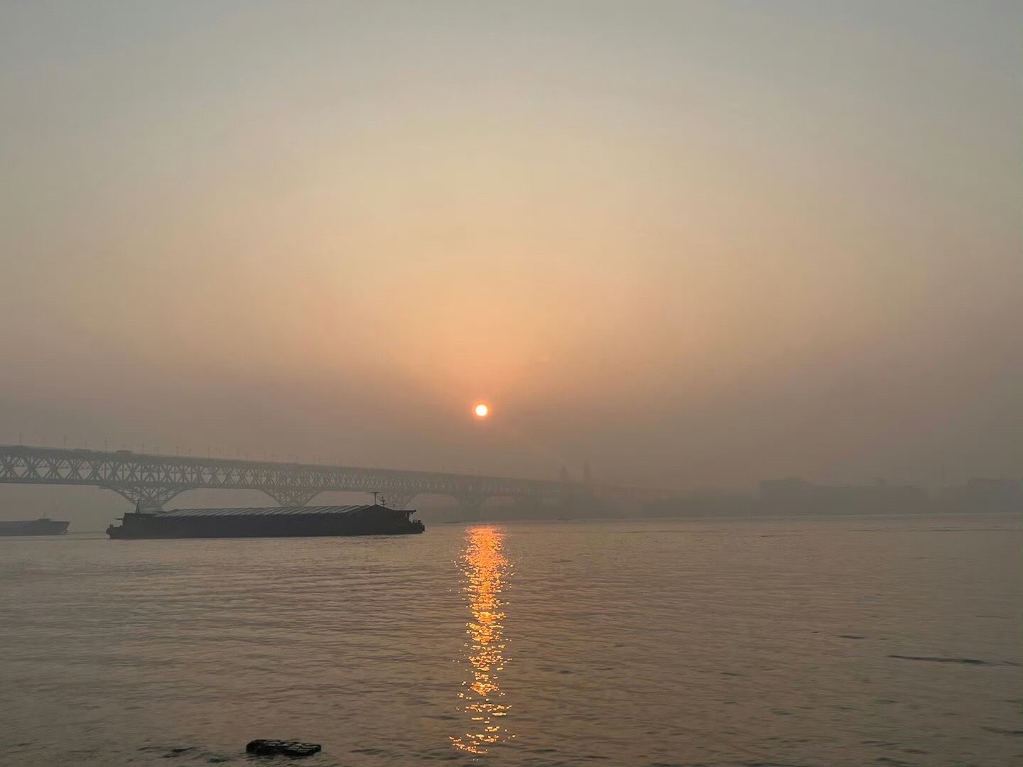 桥北滨江生态公园旅行图片 1