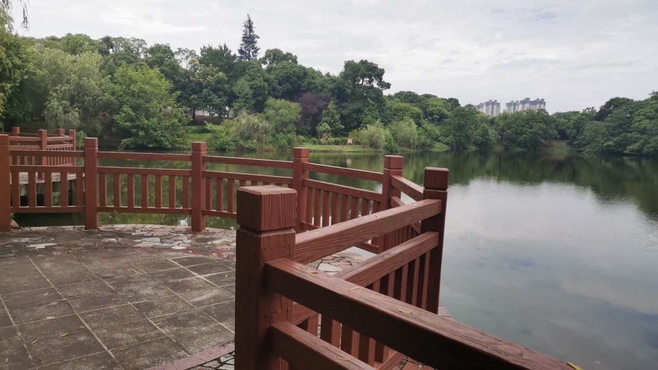白鹭公园旅行图片 2