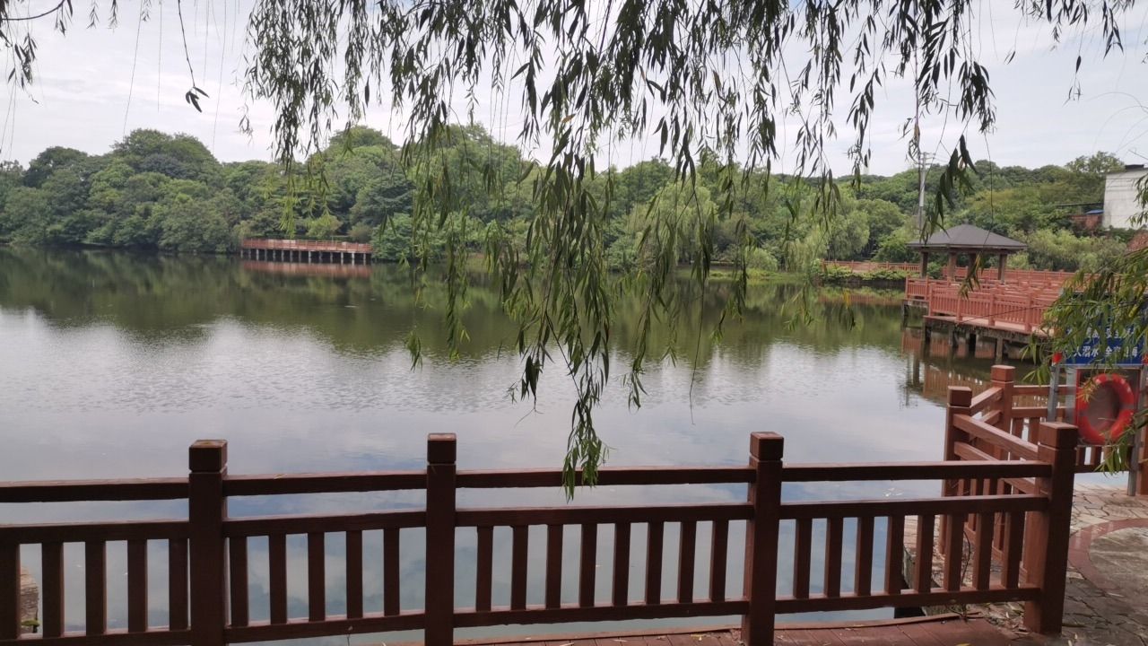 白鹭公园旅行图片 1