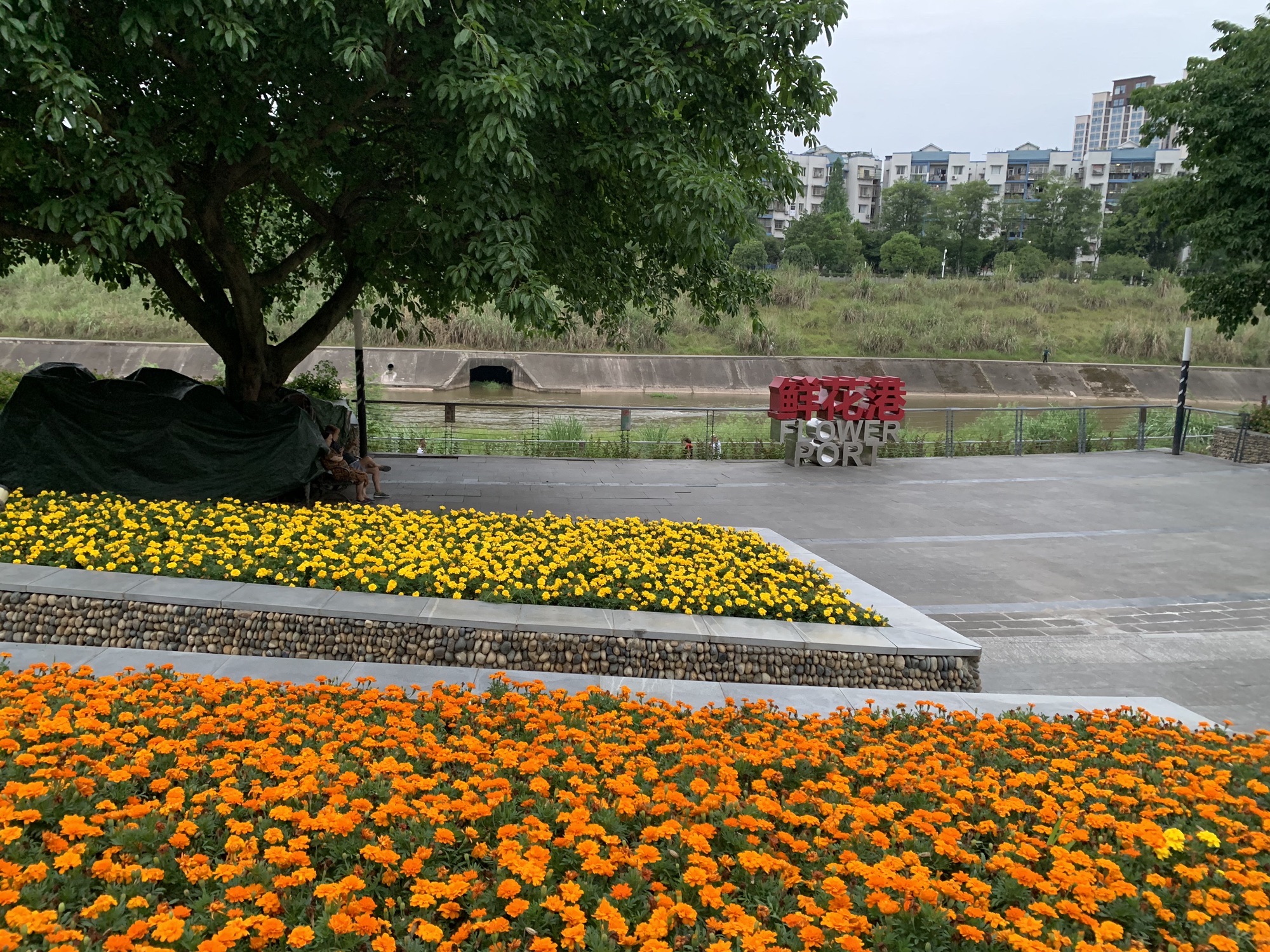 西河体育公园旅行图片 3