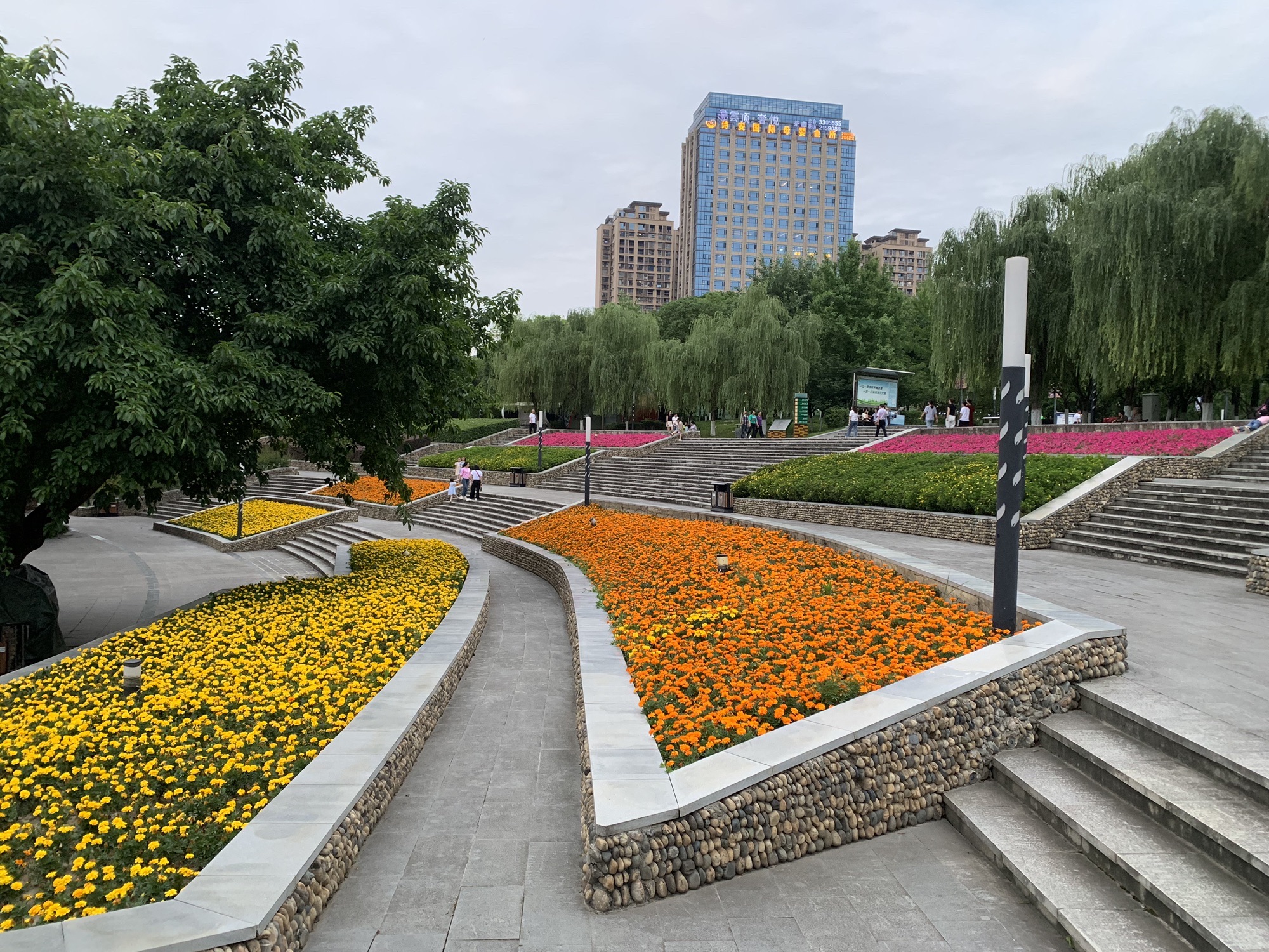 西河体育公园旅行图片 2