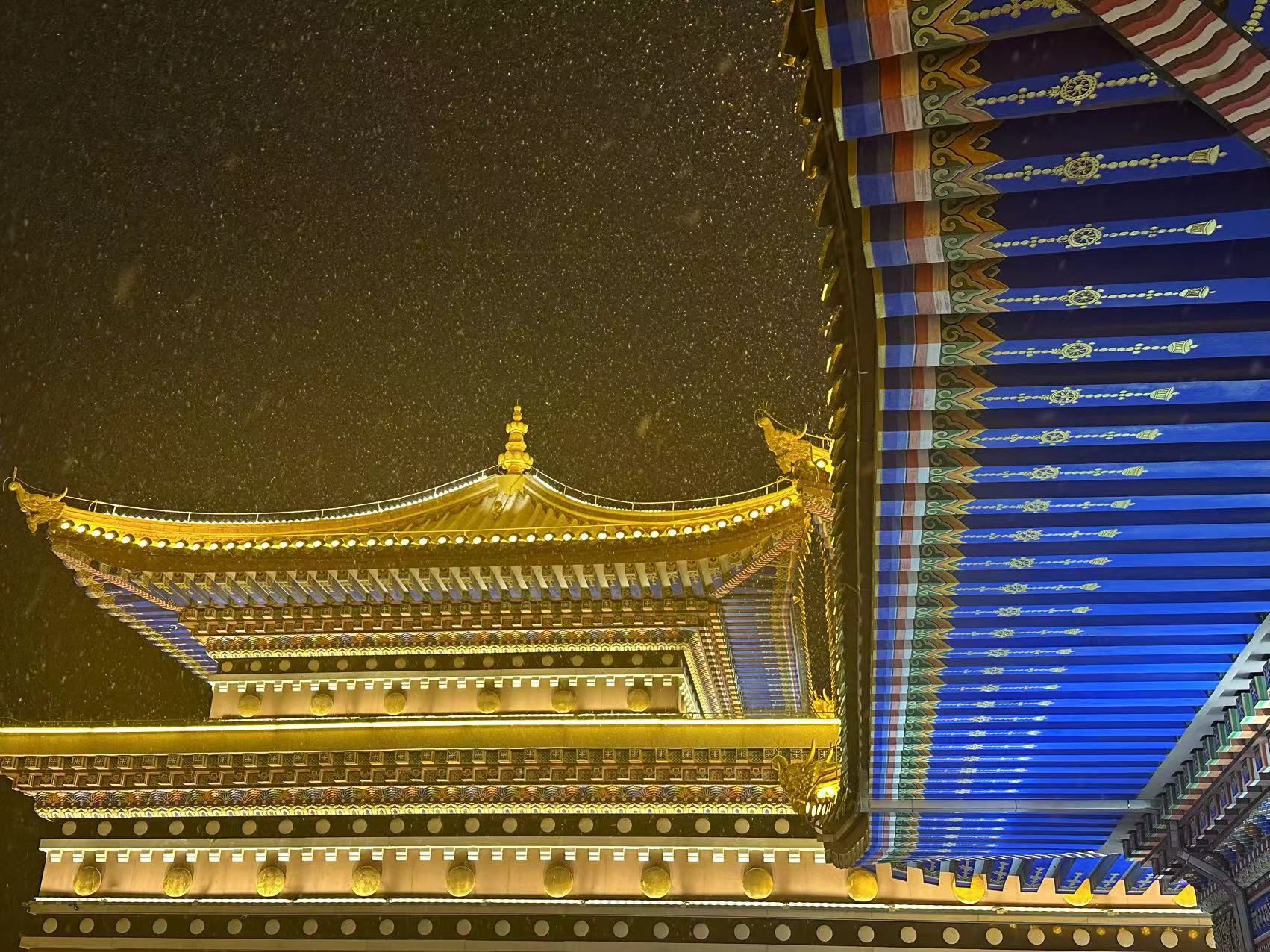 颐和生态文化博览园旅行图片 1