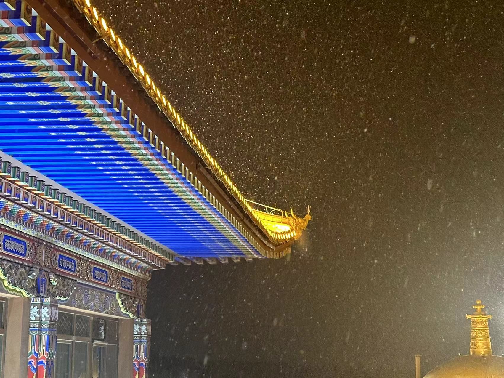 颐和生态文化博览园旅行图片 2